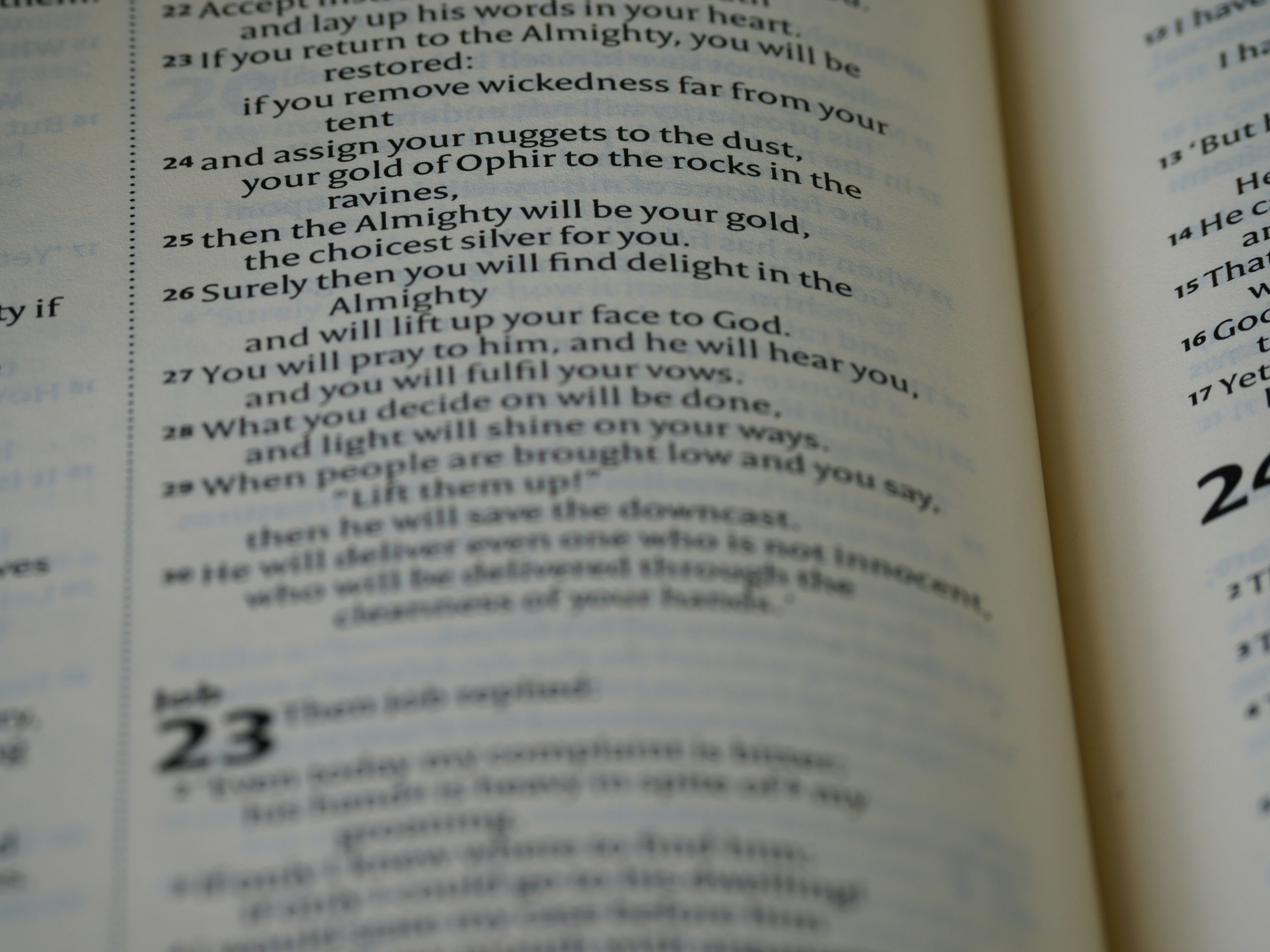 A close up of an open book with numbers on it photo – Free Grey Image ...