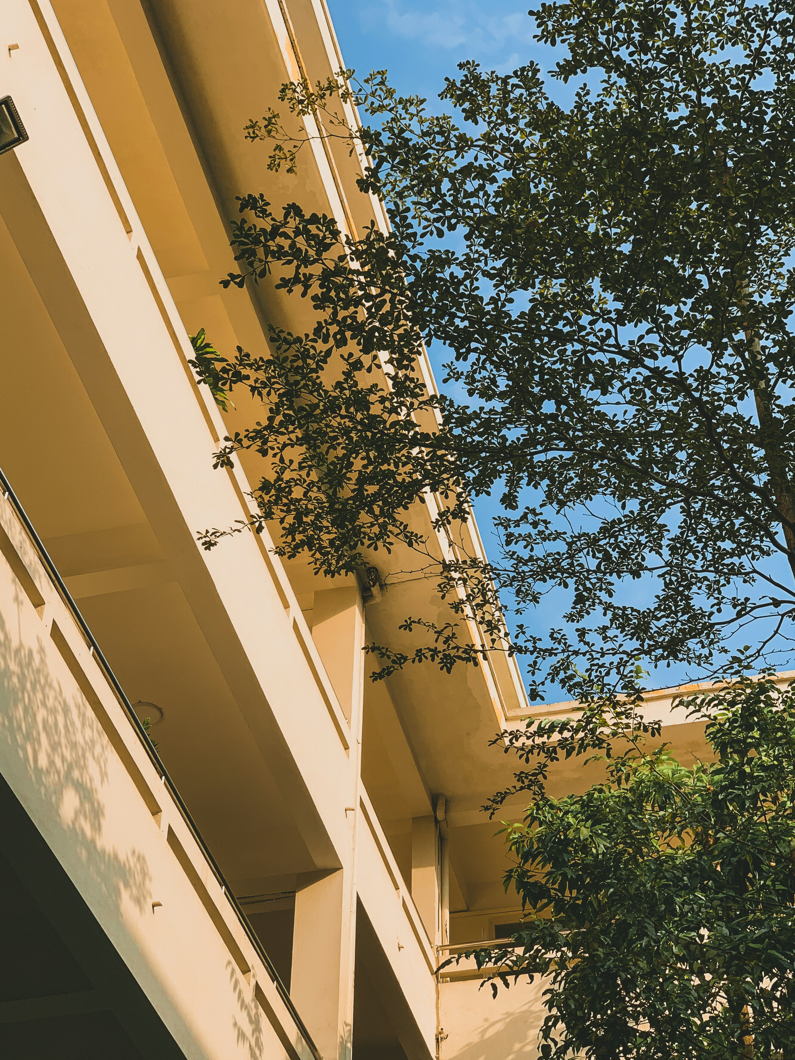 Photo by dying_apricity