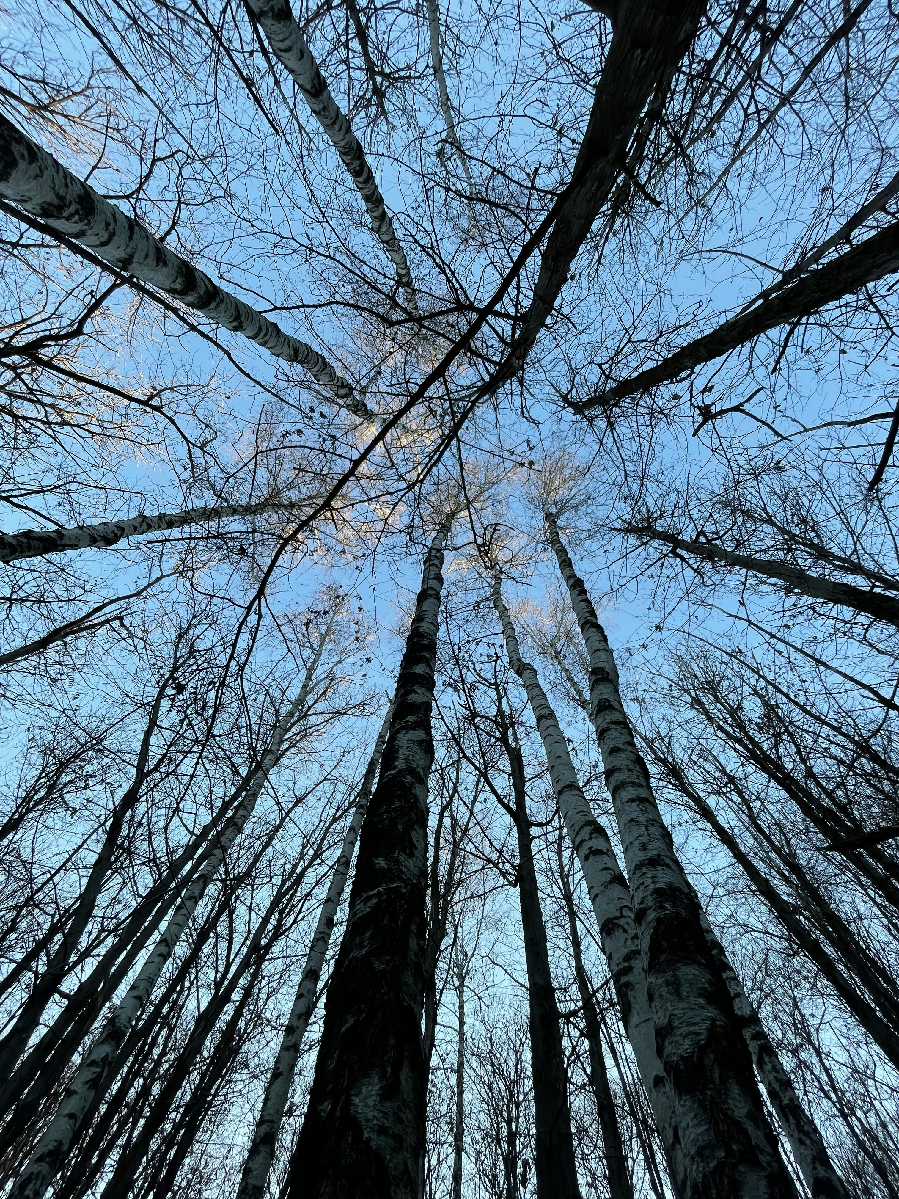 Photo by markthepark