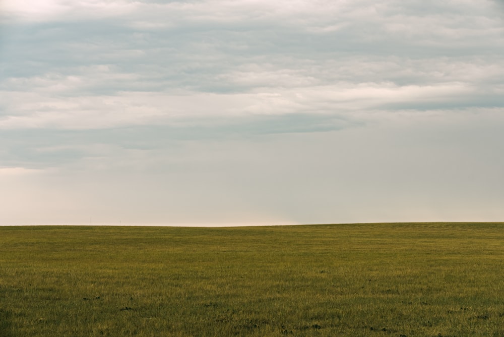 a large open field with a lone tree in the distance