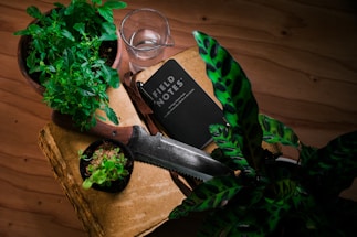 A rustic wooden table with fresh vegetables and a contact notebook lying next to a vintage pen.