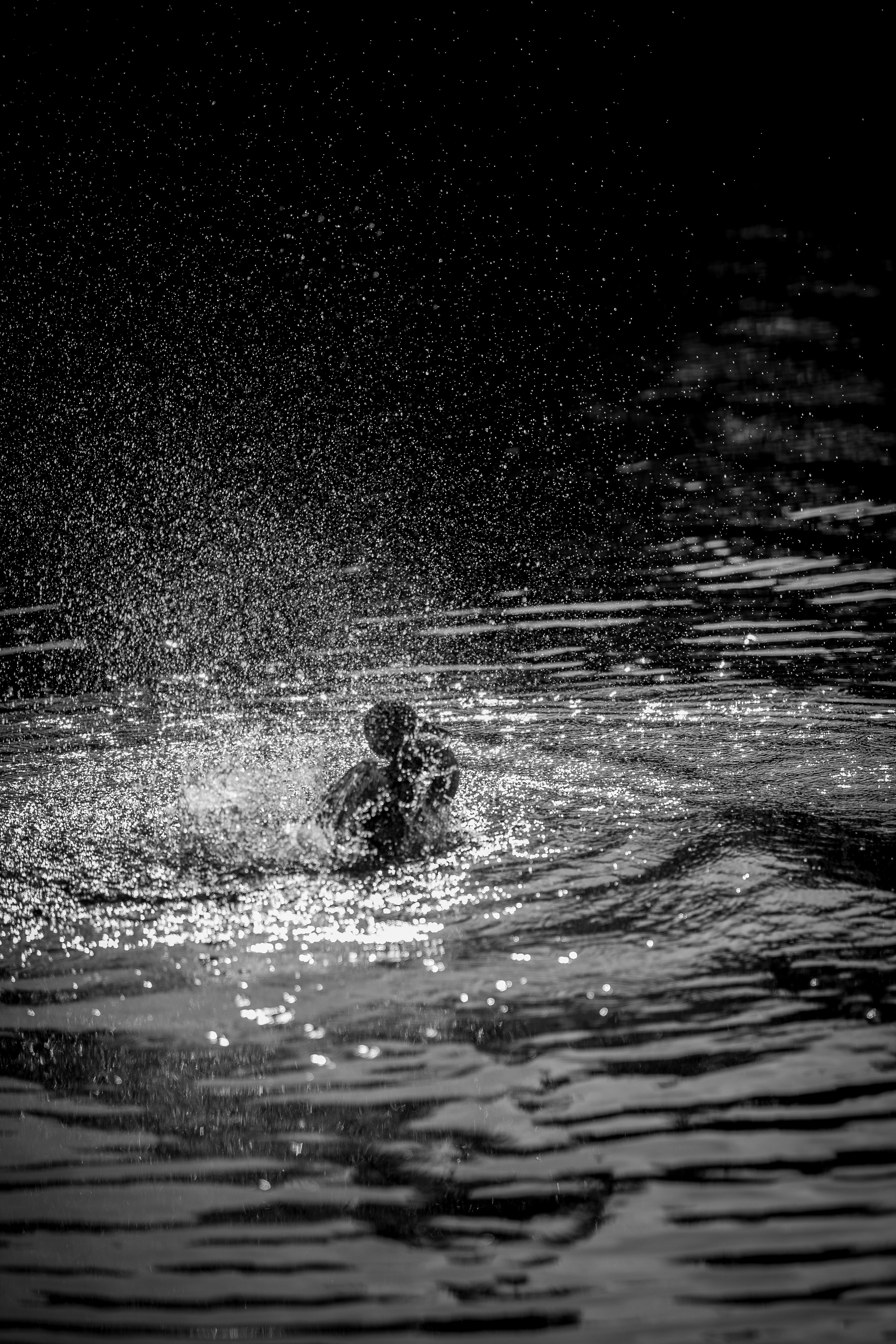 Una foto in bianco e nero di una persona che nuota nell'acqua