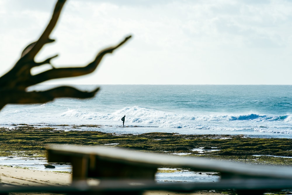 a person standing on a beach next to the ocean