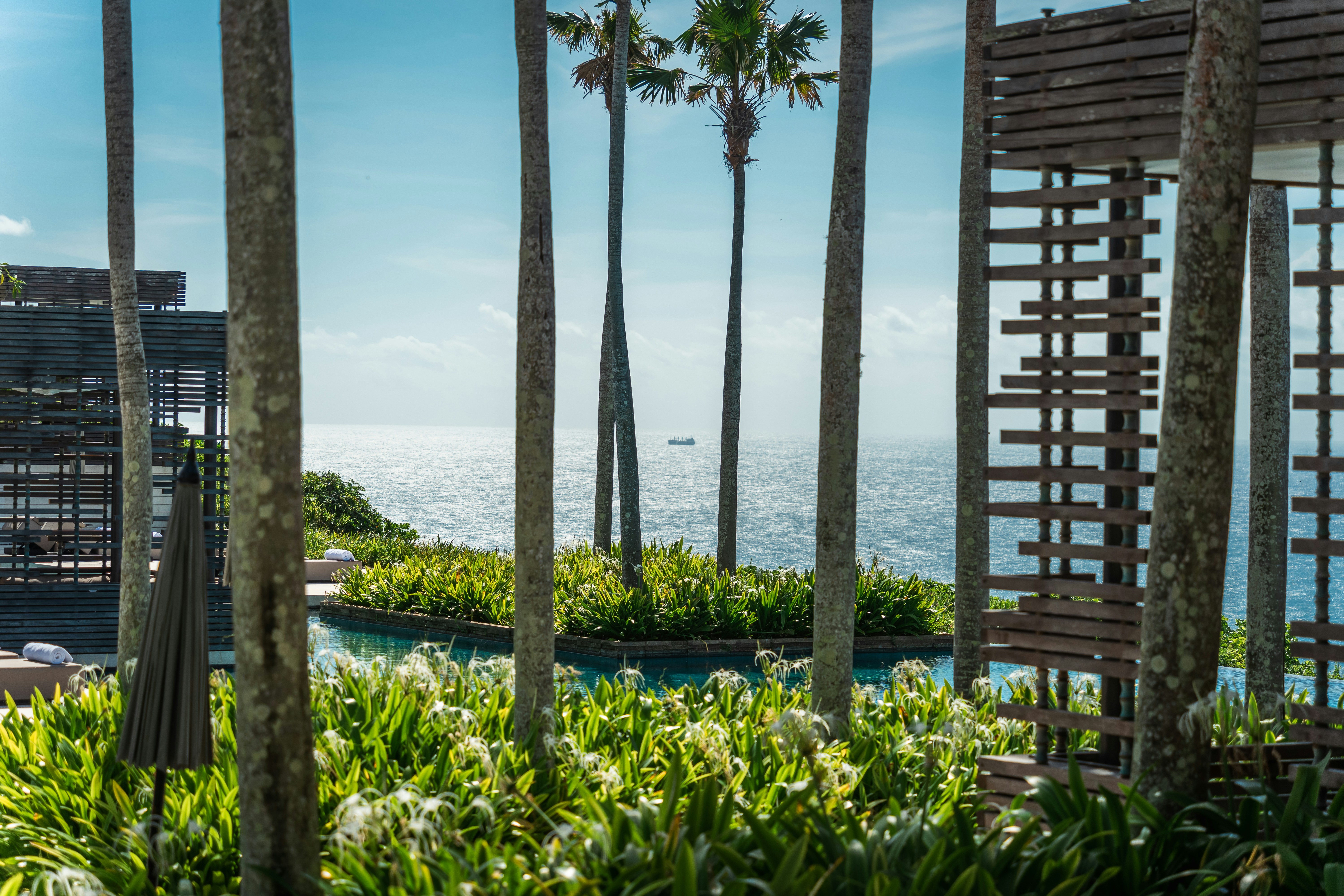 a view of the ocean through some palm trees