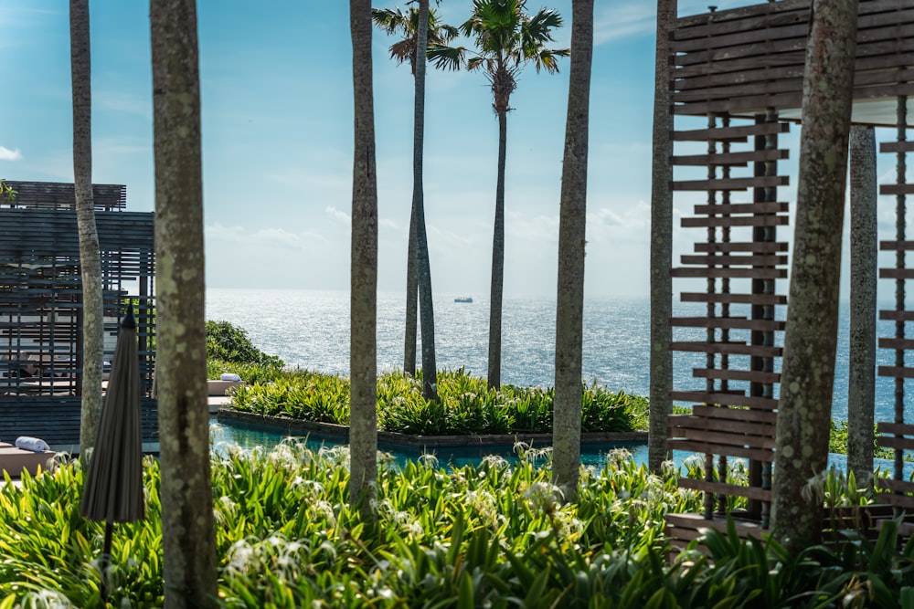 a view of the ocean through some palm trees