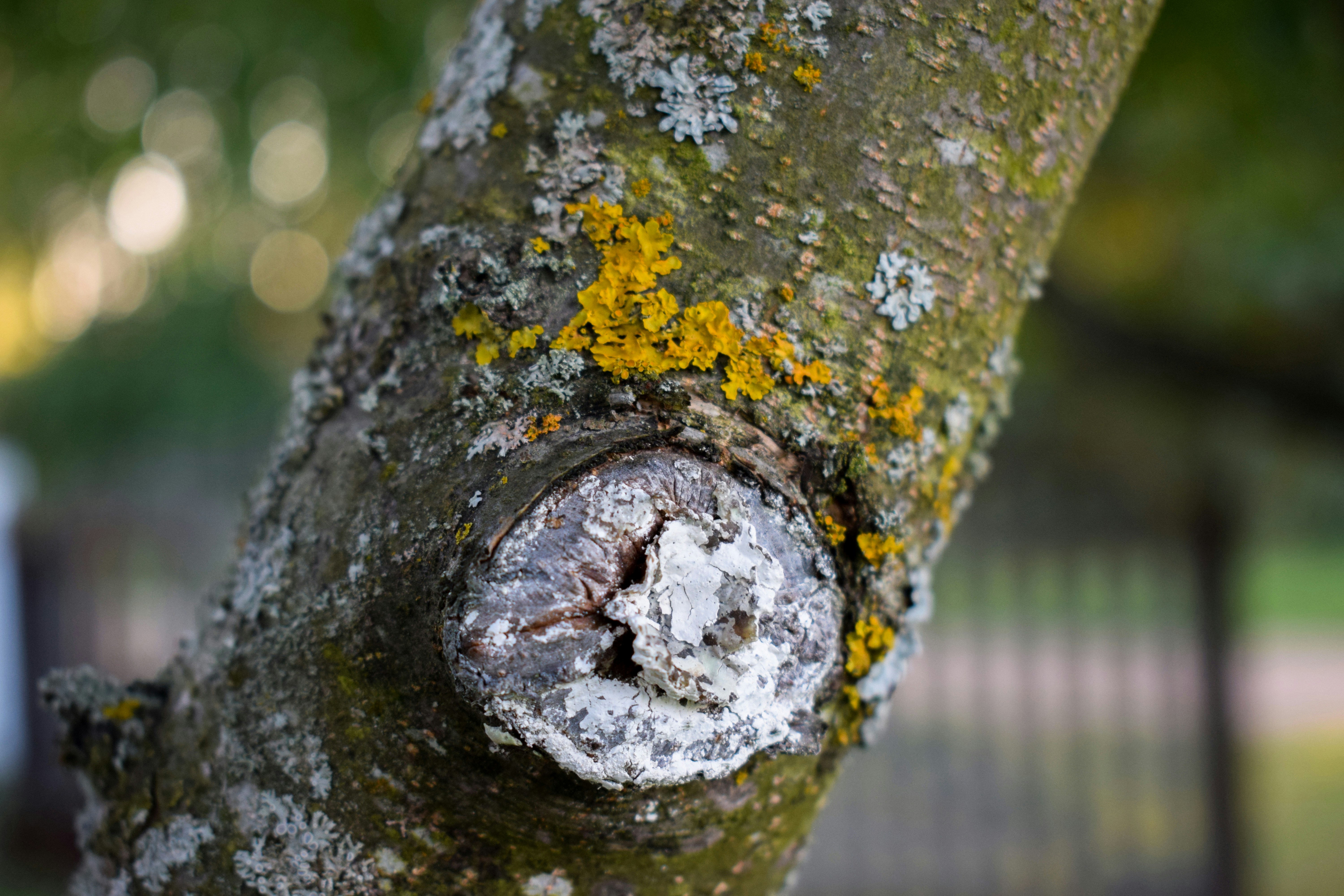 Photo by anastasiya_dal