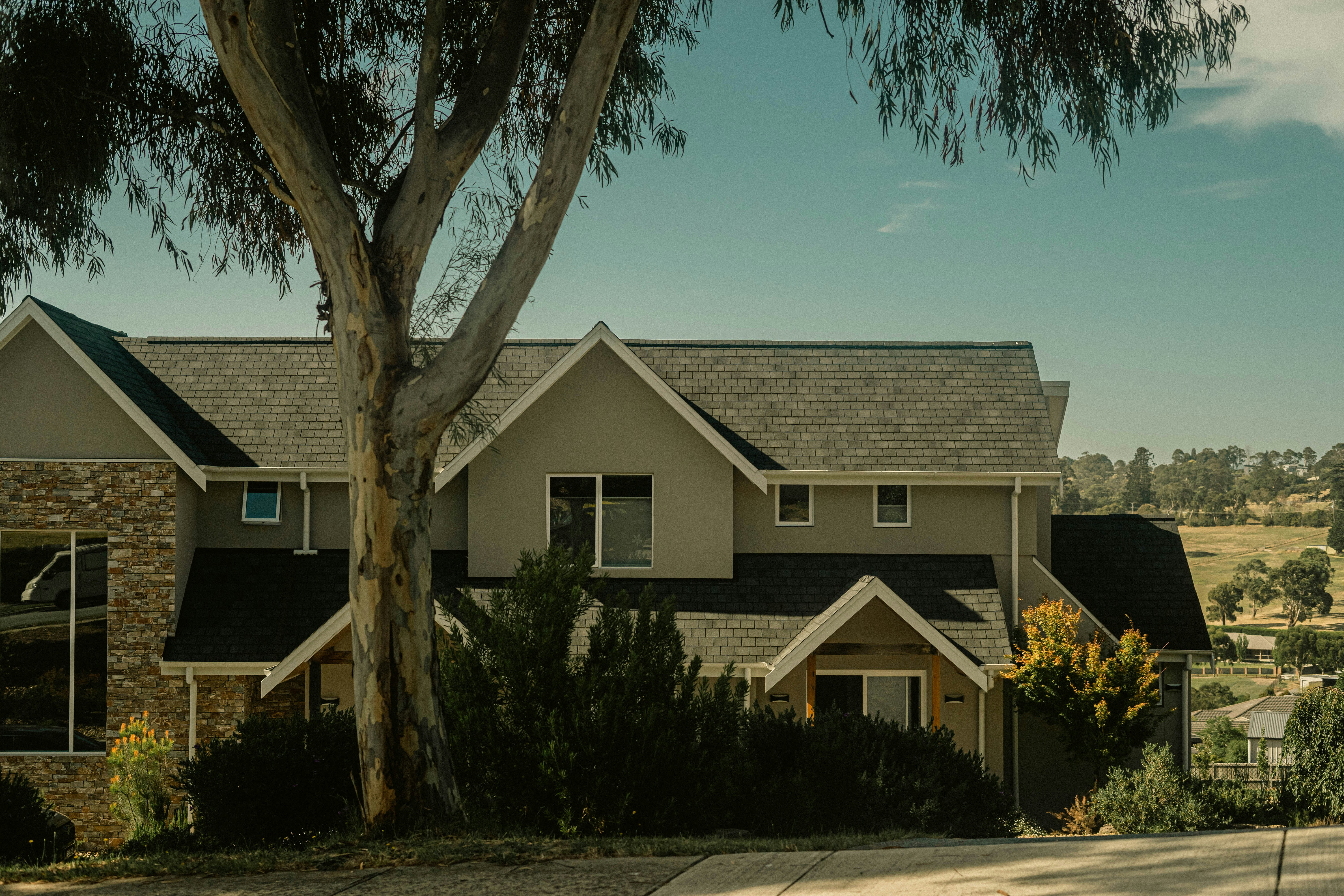 A house with a tree in front of it photo Free Building Image on Unsplash