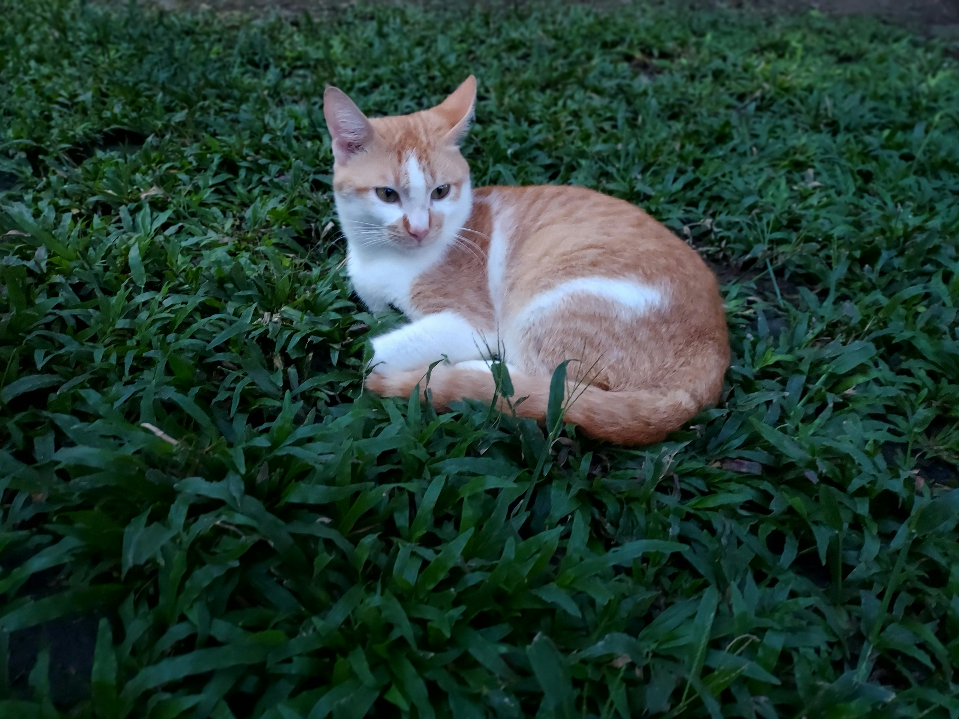 Photo by eleazarsinahon888