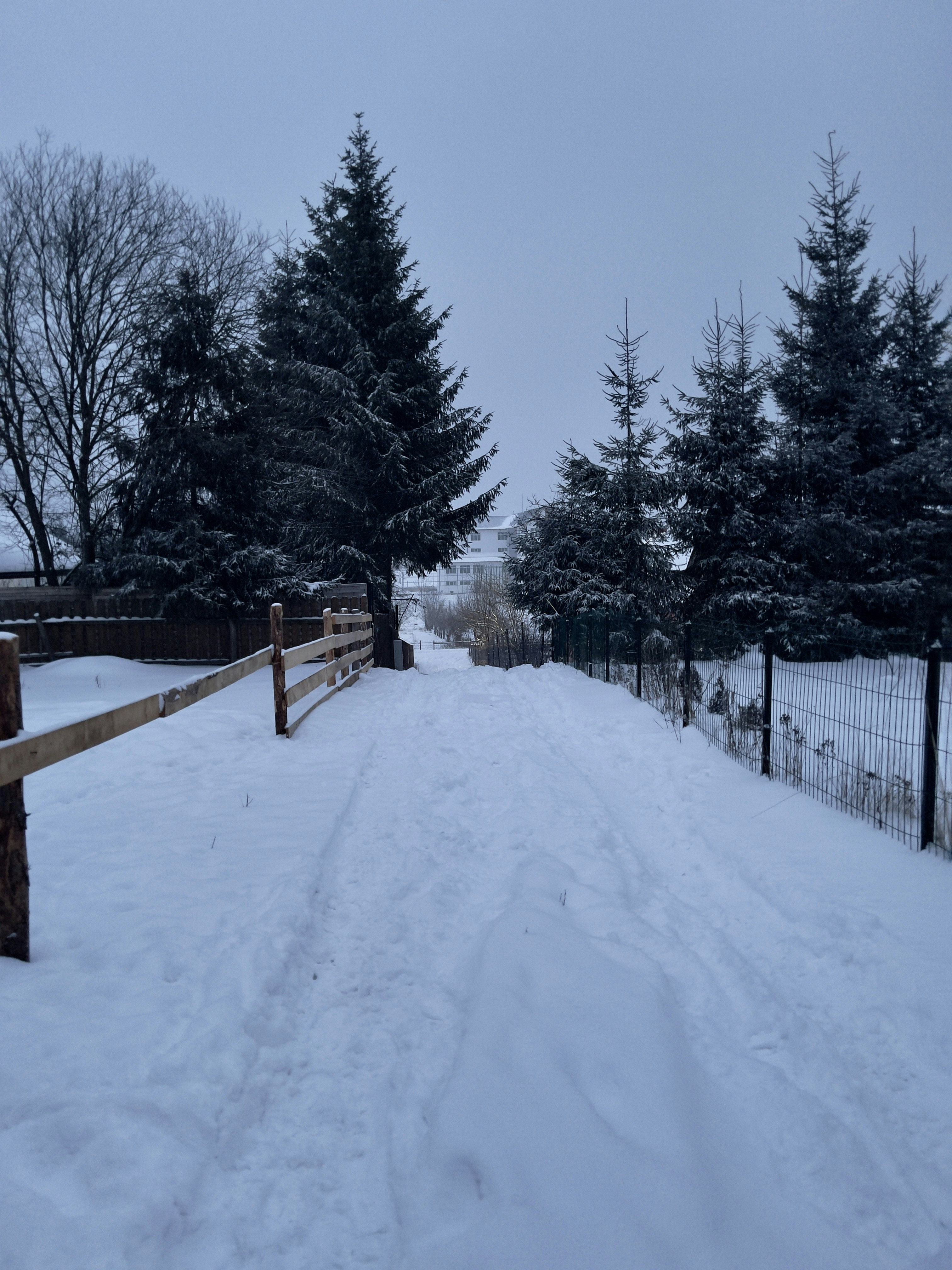 Photo by garfield_the_cat