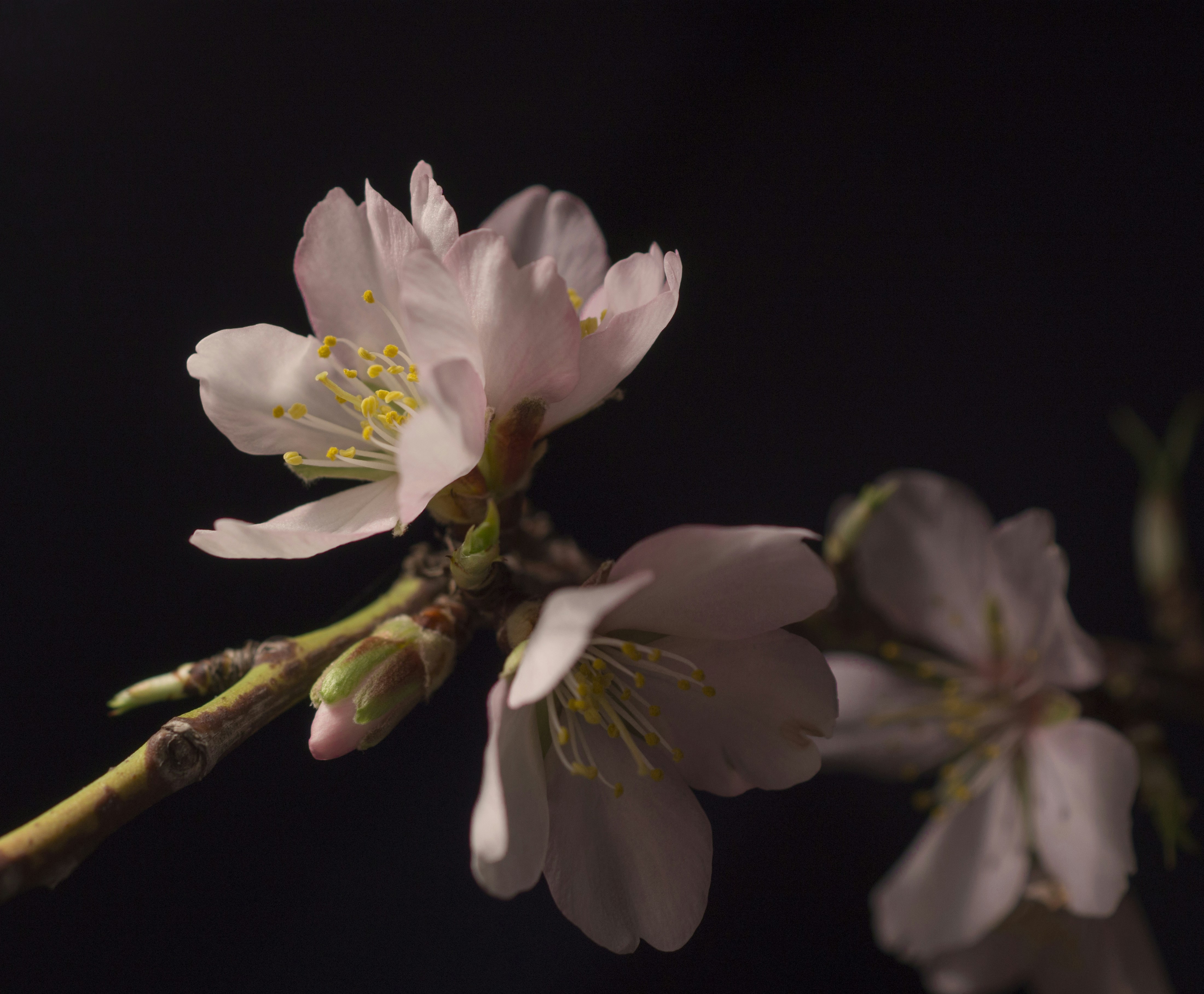 퇴직연금 IRP 중도 해지하면 얼마나 손해볼까? 불이익 총정리!