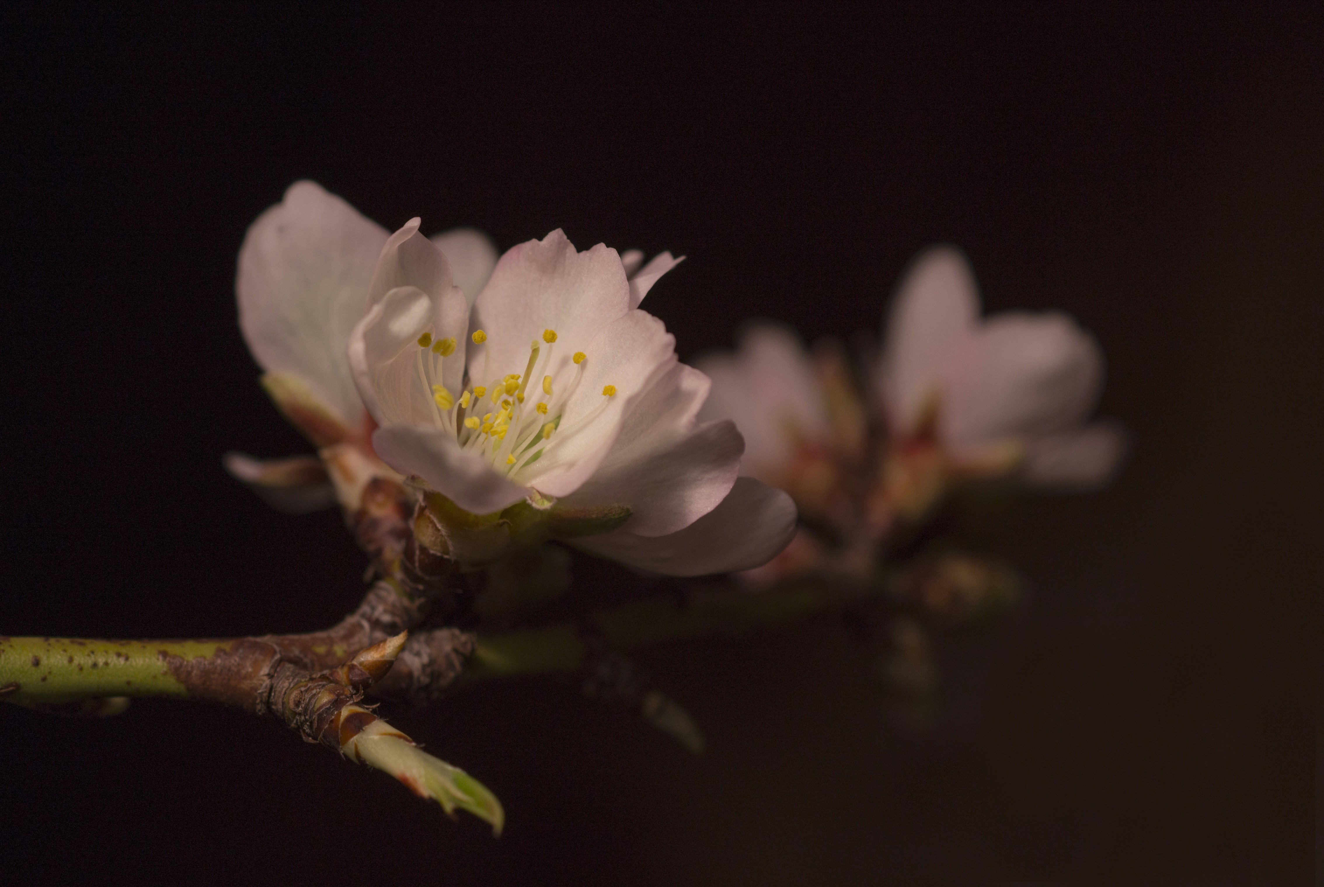 Photo by sararuizalejos