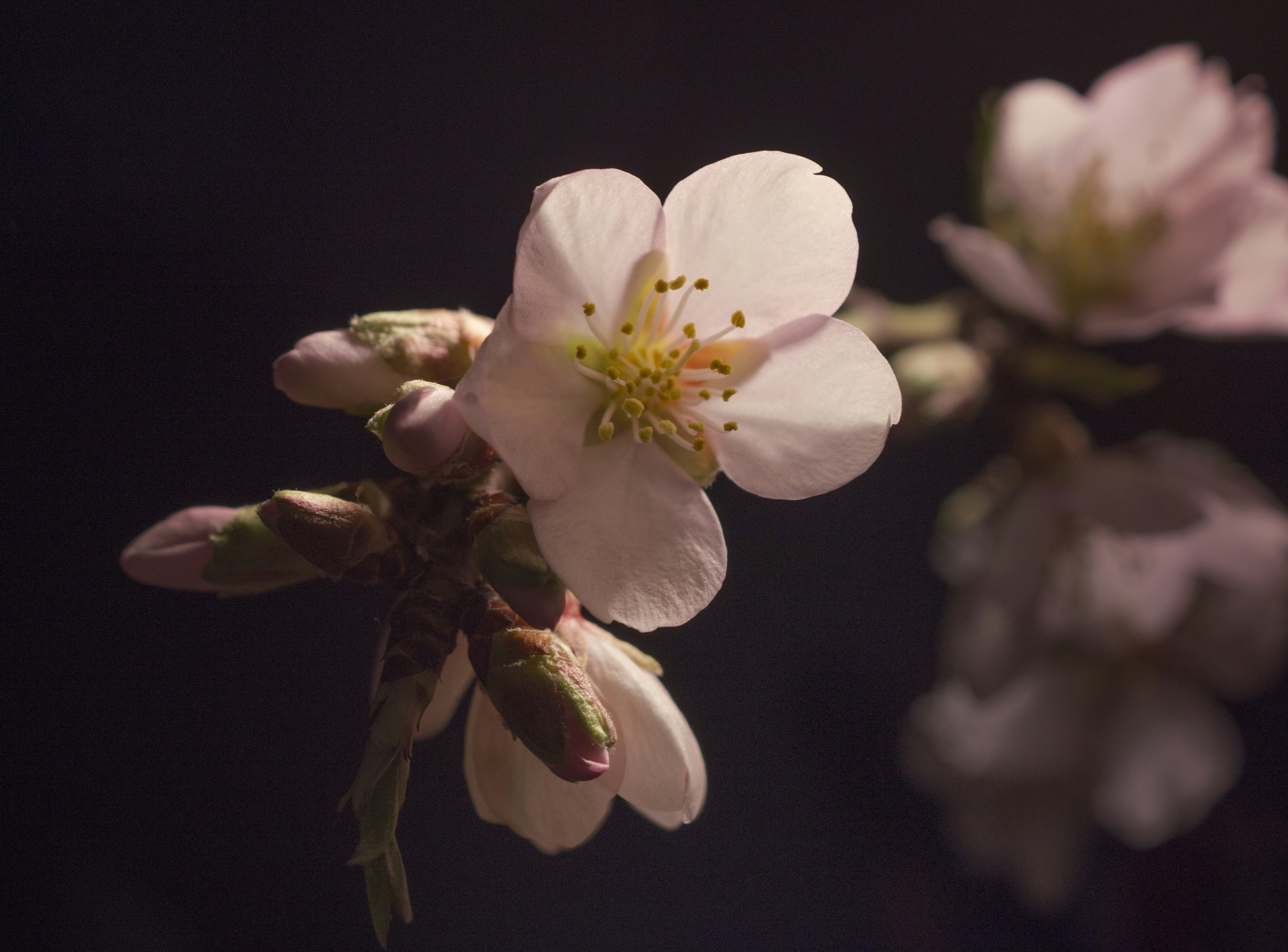 BMI 급등 뒤 숨은 갑상선 질환과 대사 이상 조기에 잡는 대응법