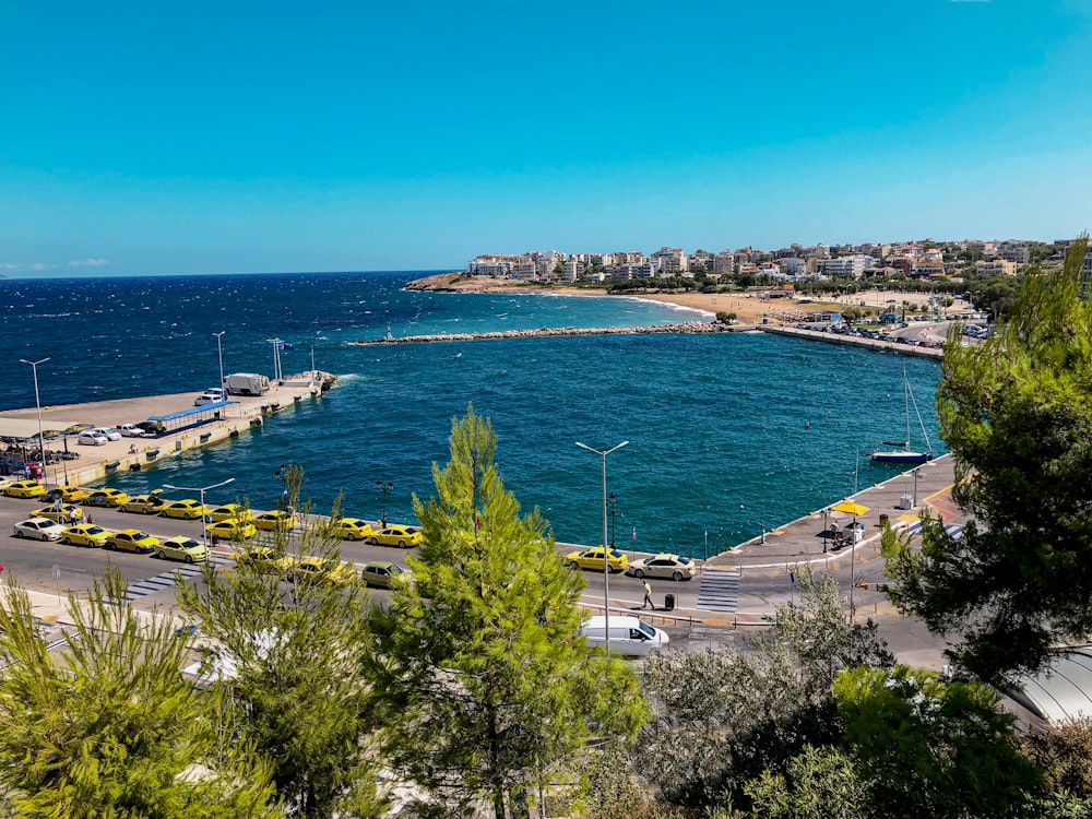 a large body of water surrounded by trees