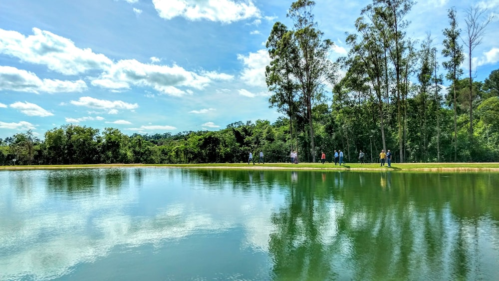 a body of water with trees in the background