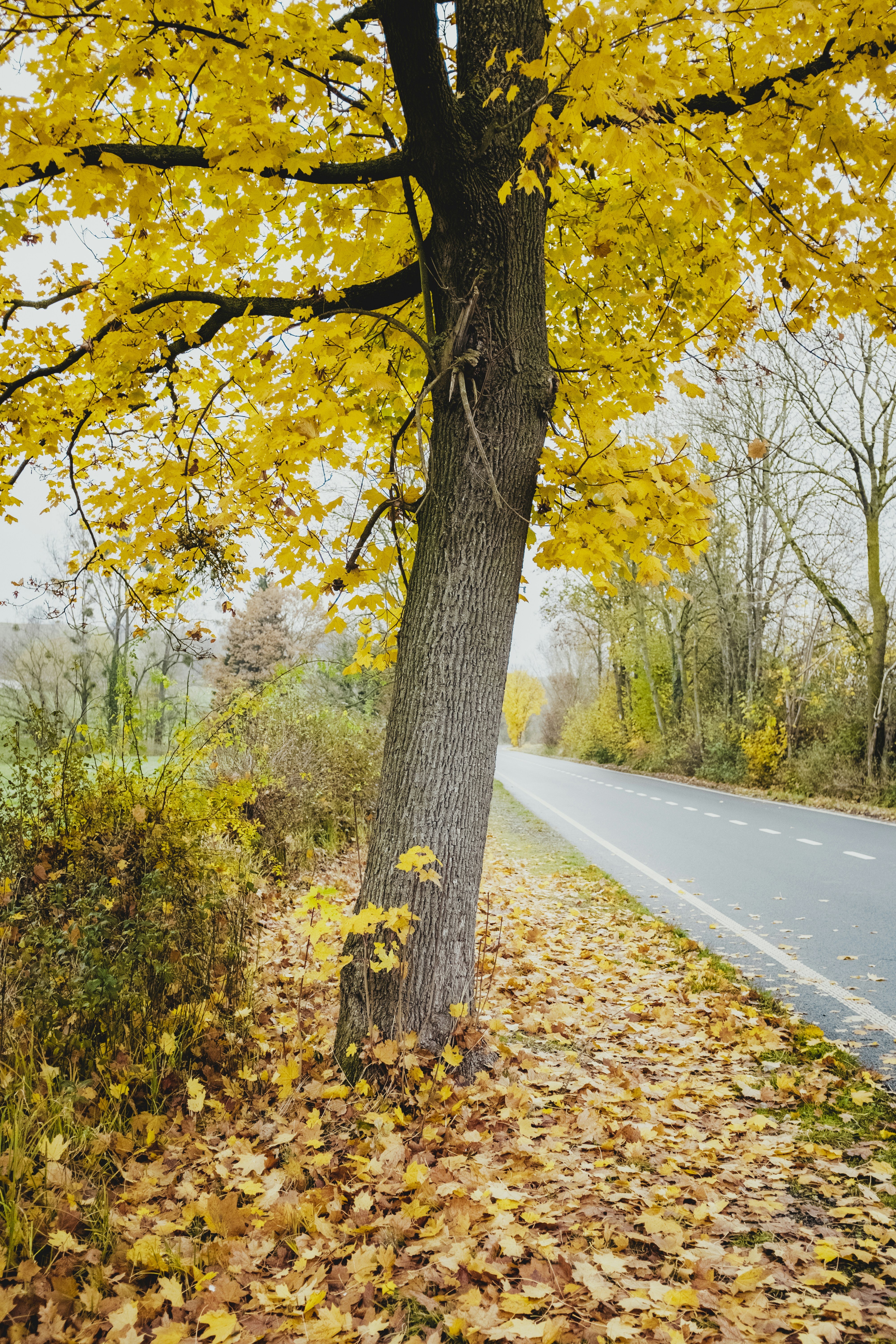 Photo by bernardhermant