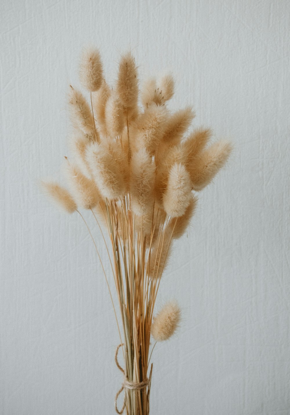 eine Vase gefüllt mit trockenem Gras auf einem Tisch