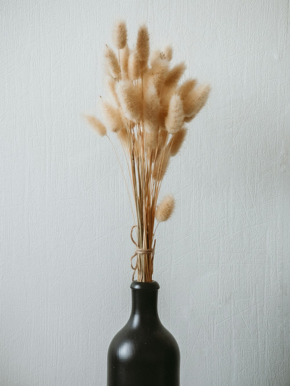 un vase posé sur une table