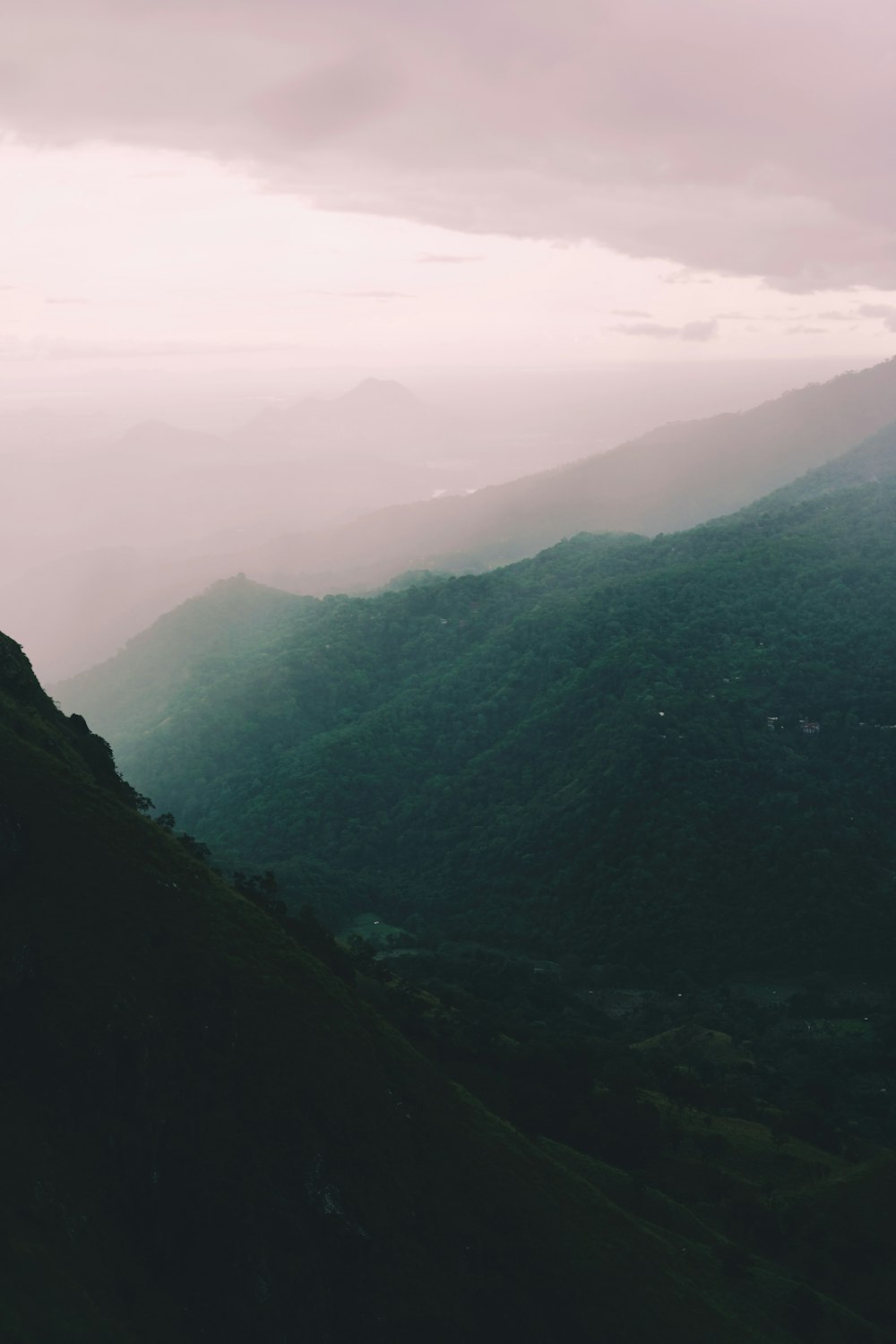 a person standing on top of a lush green hillside