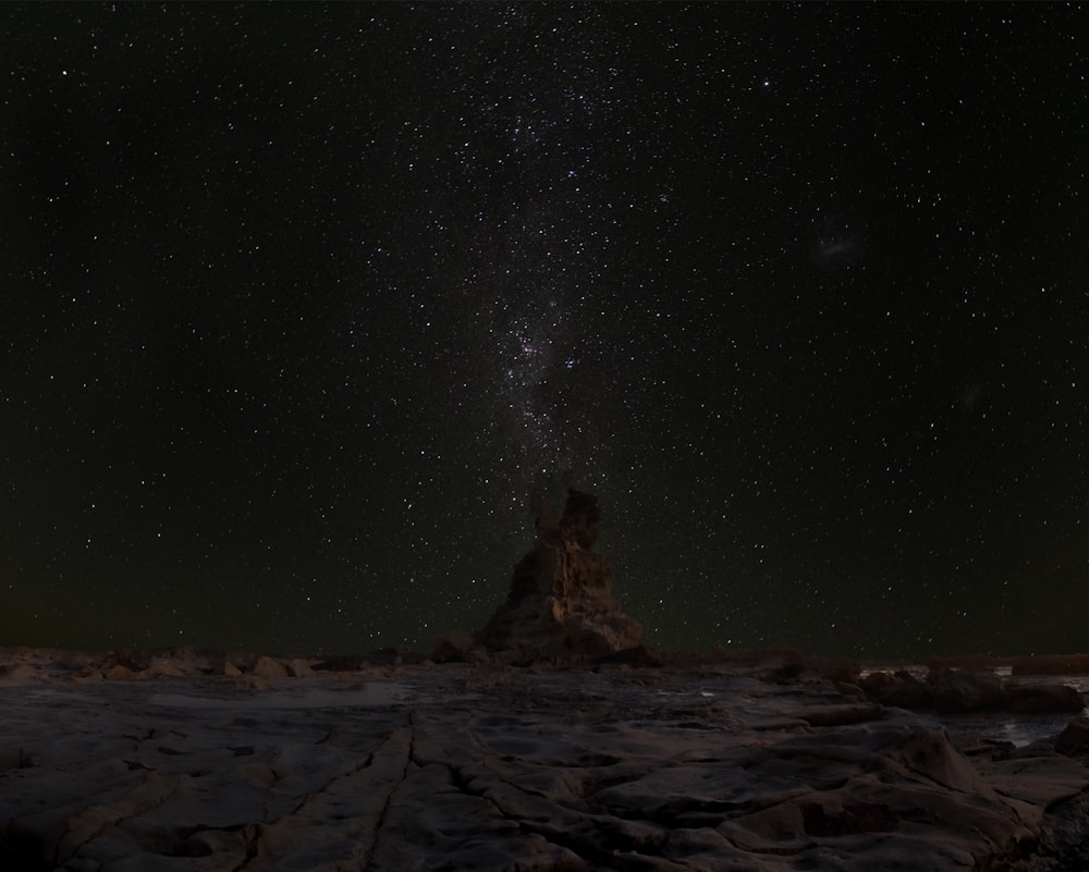 a sky view looking up at night