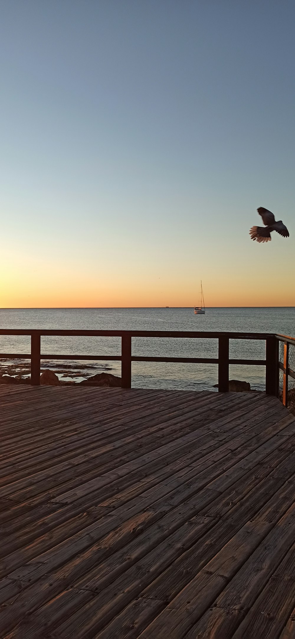 a bird flying over a wooden pier next to the ocean
