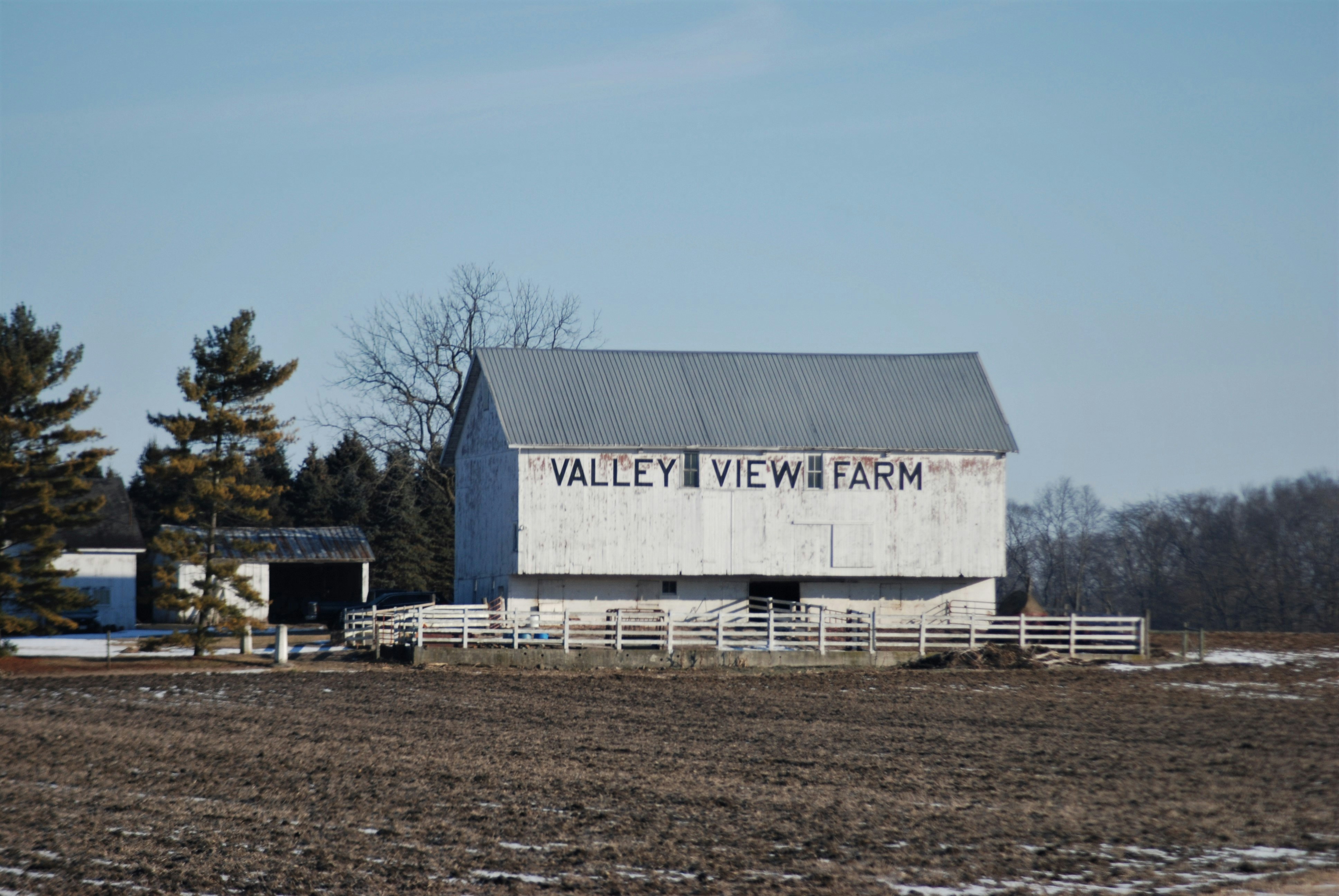 photo 1645012833372 07ab9b64a579?crop=entropy&cs=tinysrgb&fit=max&fm=jpg&ixid=M3w1MjQ0NjR8MHwxfHNlYXJjaHwxNHx8UGVzdCUyMENvbnRyb2wlMjBTZXJ2aWNlJTIwV2F0ZXJsb28lMjBJb3dhfGVufDB8MHx8fDE3NjAzMTMwODh8MA&ixlib=rb 4.1