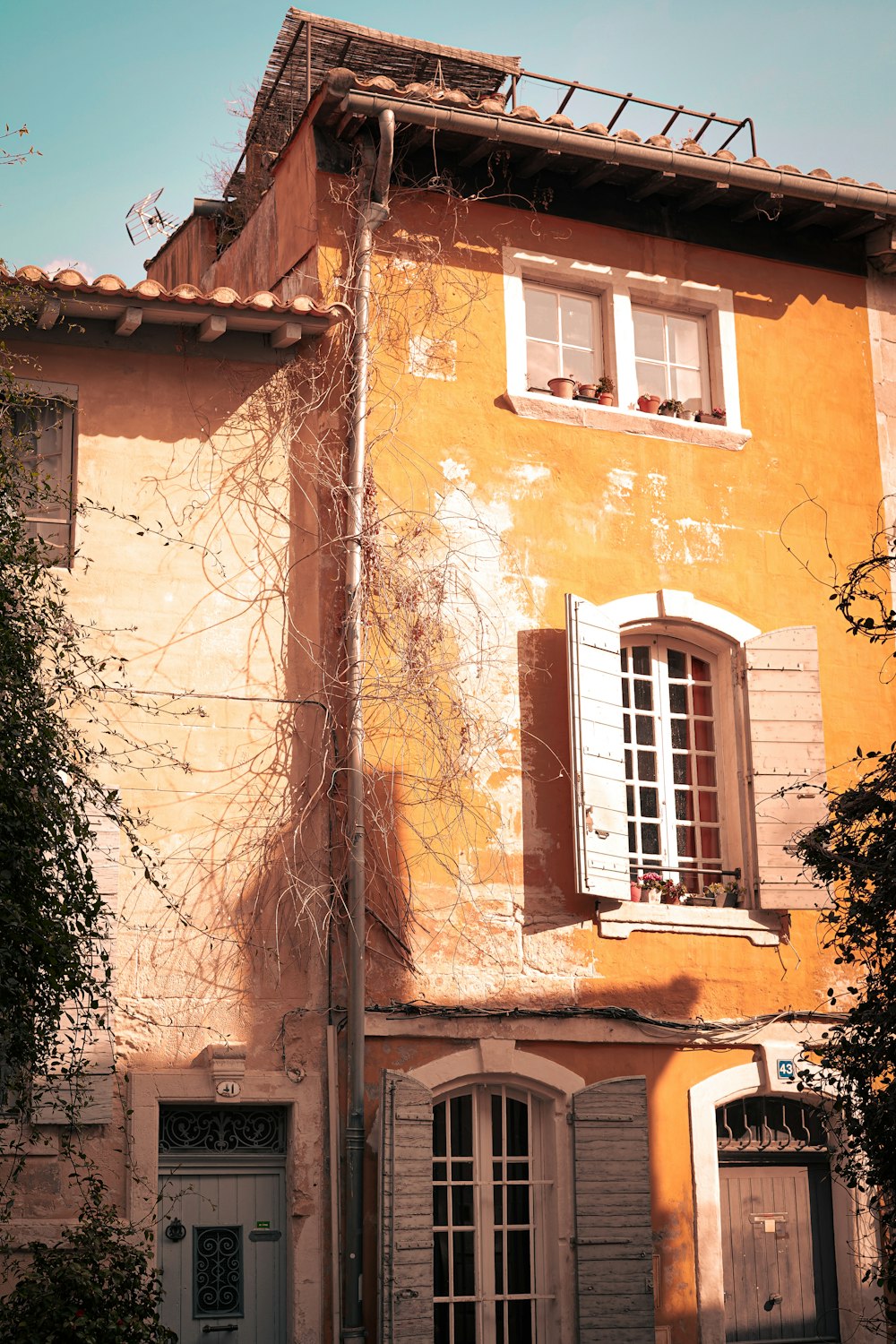 un bâtiment jaune avec des volets blancs et un arbre devant lui