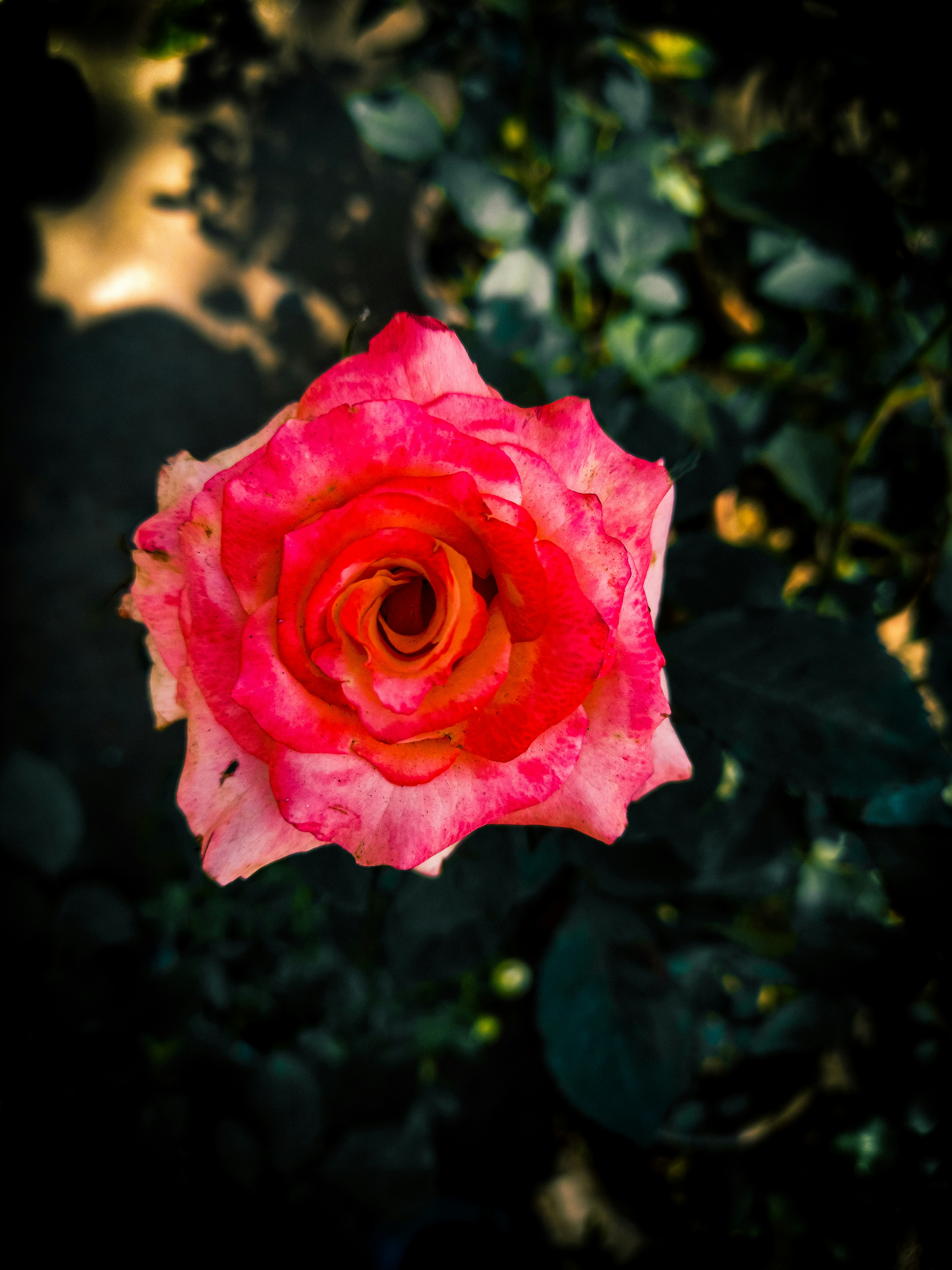 Photo by wallpaper_zone_01