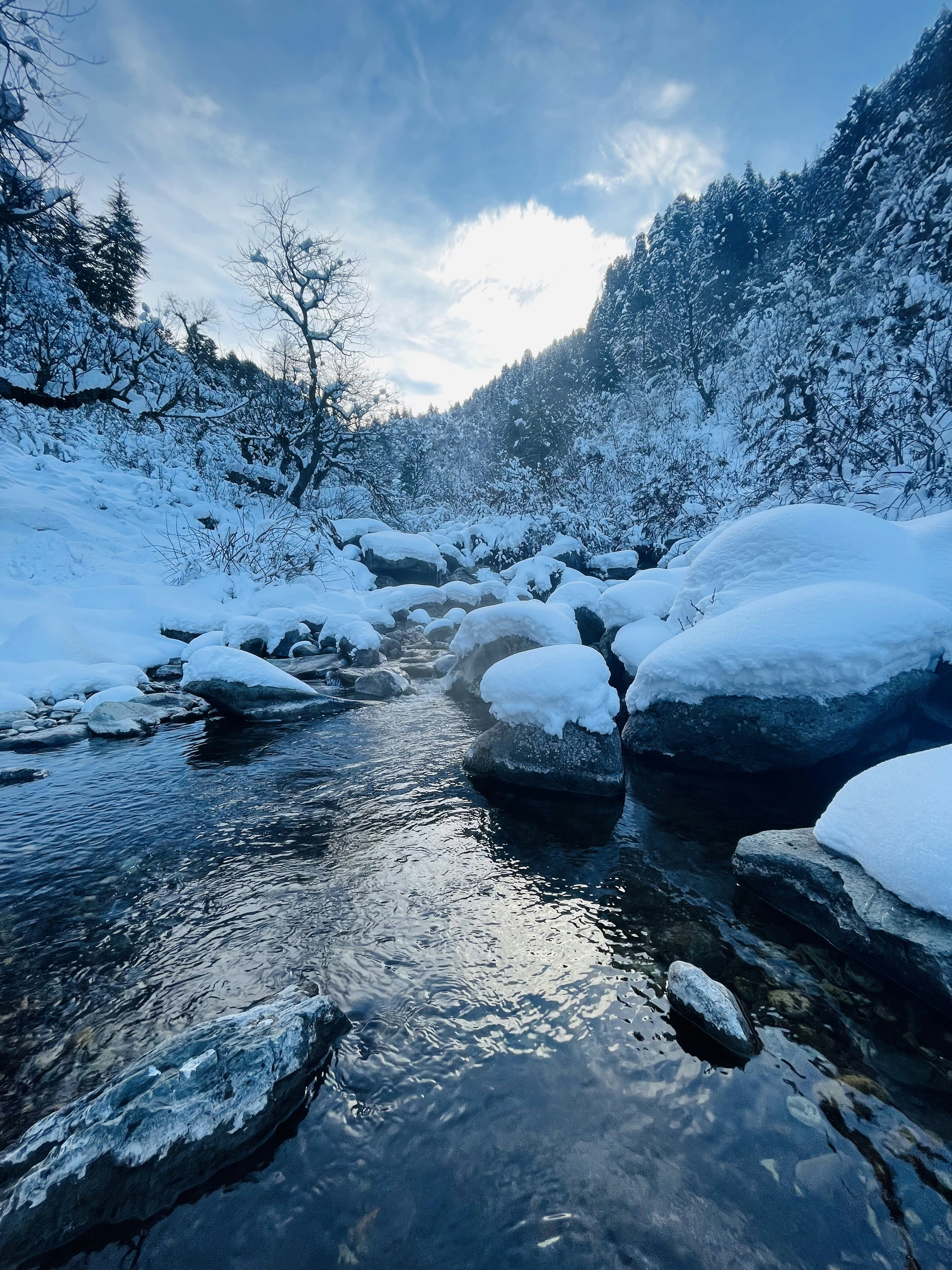 Photo by 21stcenturymowgli