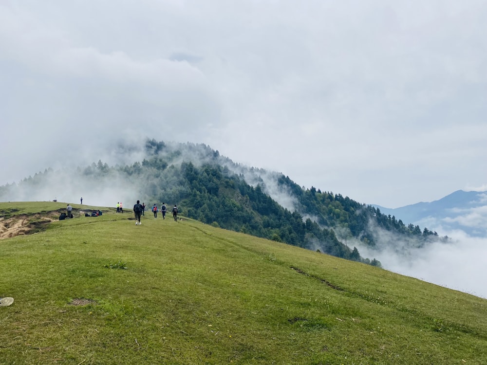 a group of people standing on top of a lush green hillside