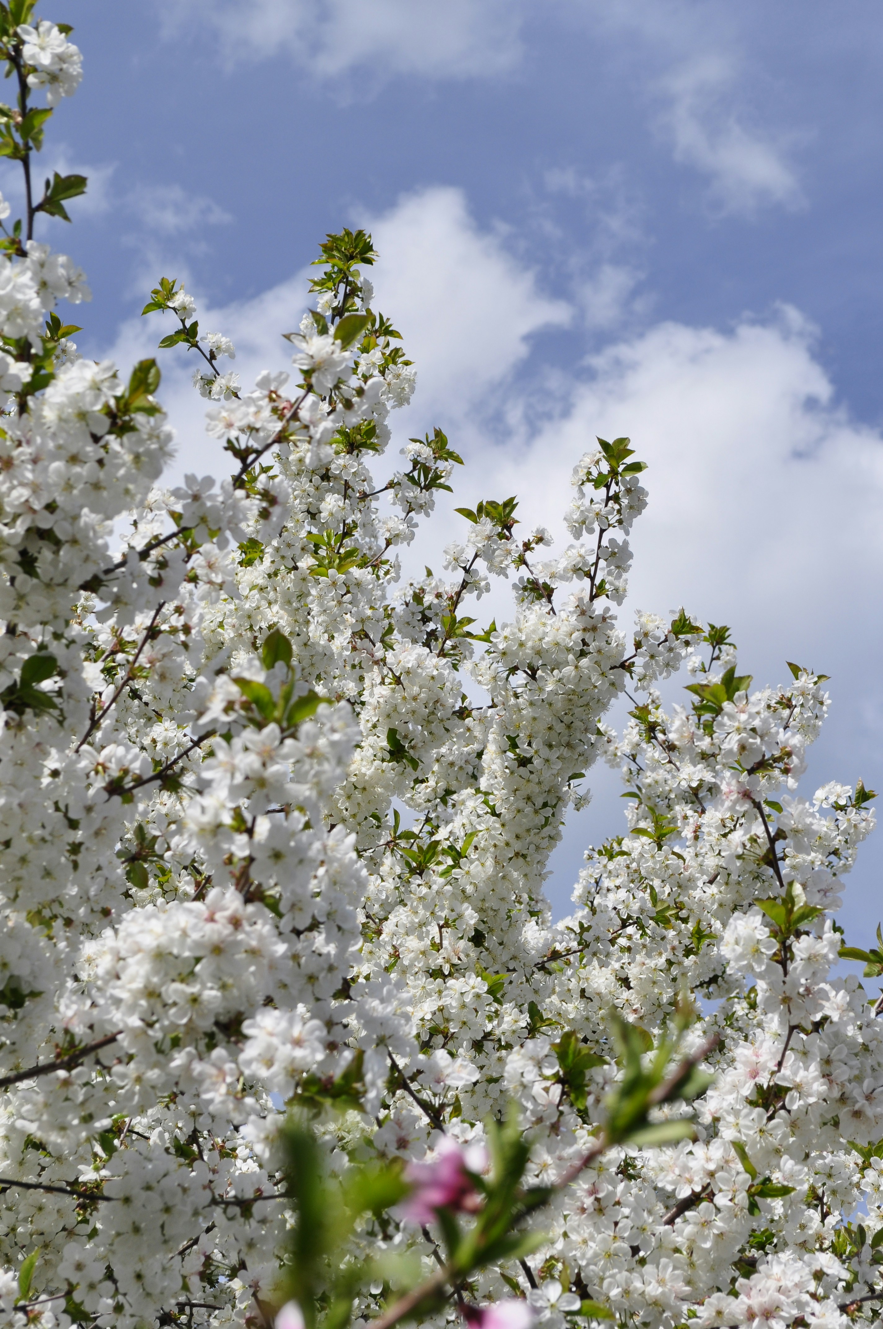 Photo by vallenciiaga_