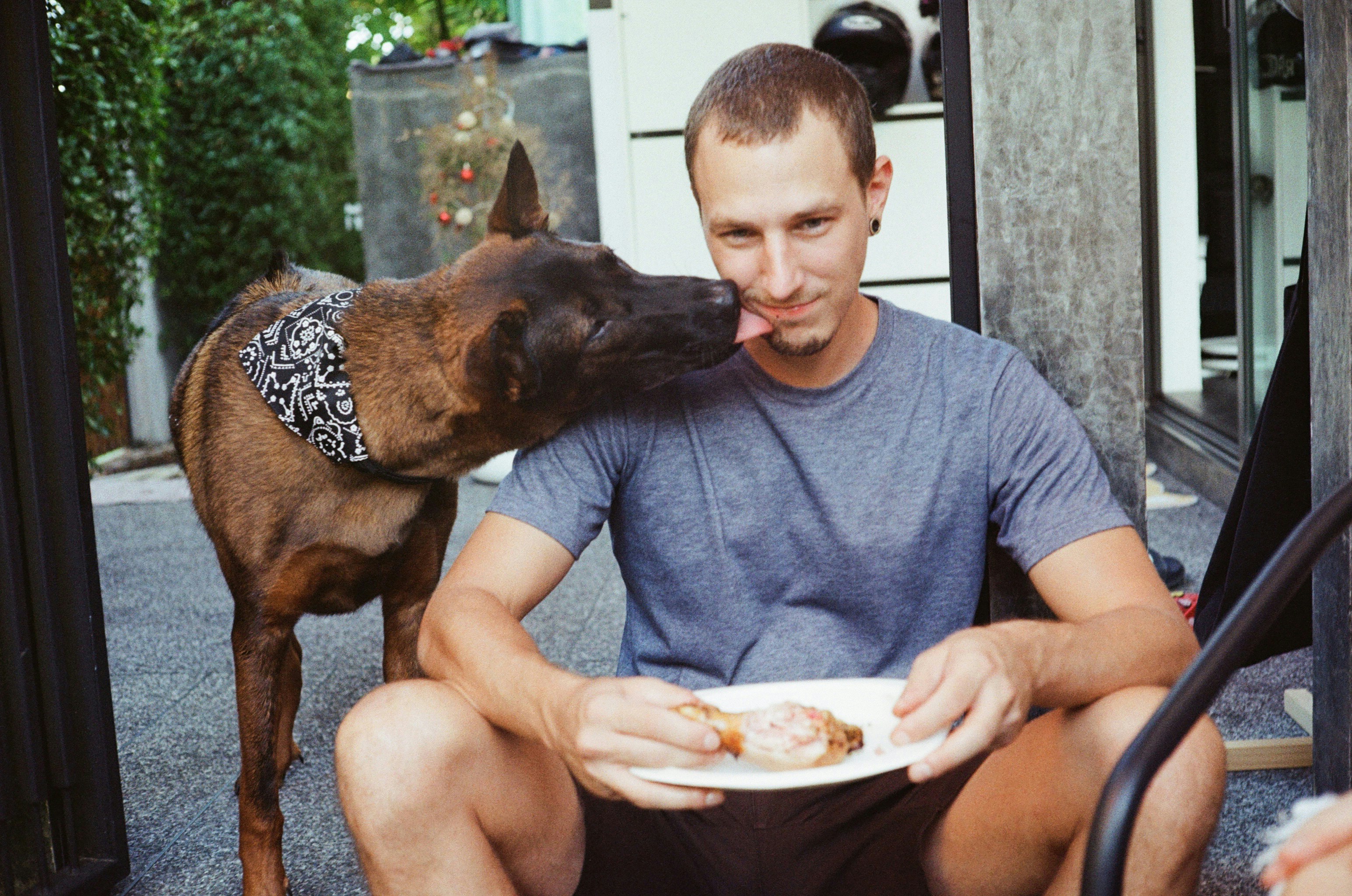 پسری در حال غذا خوردن که سگ ژرمن او را لیس میزنئ. روانشناس روانکاو رواندرمانگر سکستراپ مشاور خانواده مشاوره ی نوجوانان مشاور مشاور فارسی زبان روانشناس فارسی زبان روانشناس ایرانی فارسی تهران ریچموندهیل ونکوور دبی نیویورک سانفرانسیسکو سیدنی نورث یورک لس آنجلس زوریخ سوئیس کانادا ملبورن بریزبین آلمان واشنگتن ایرواین اورنج کانتی بورلی هیلز رجینا 