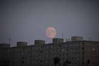 A large moon is visible in the sky above a row of apartment buildings, with numerous small birds flying around. The buildings have a uniform appearance with multiple windows and rooftop antennas.