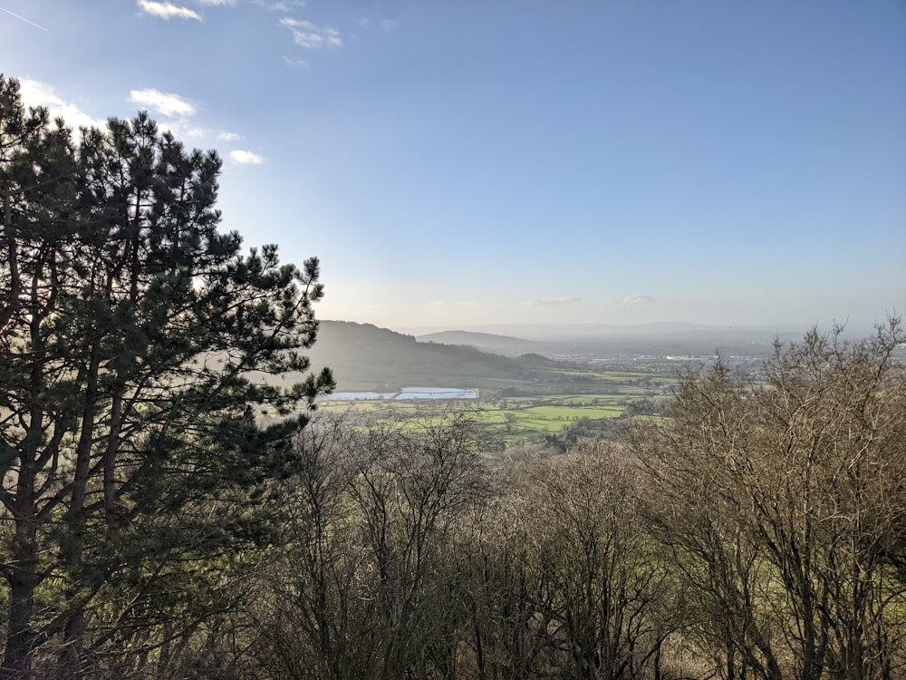 a view of a valley from a hill