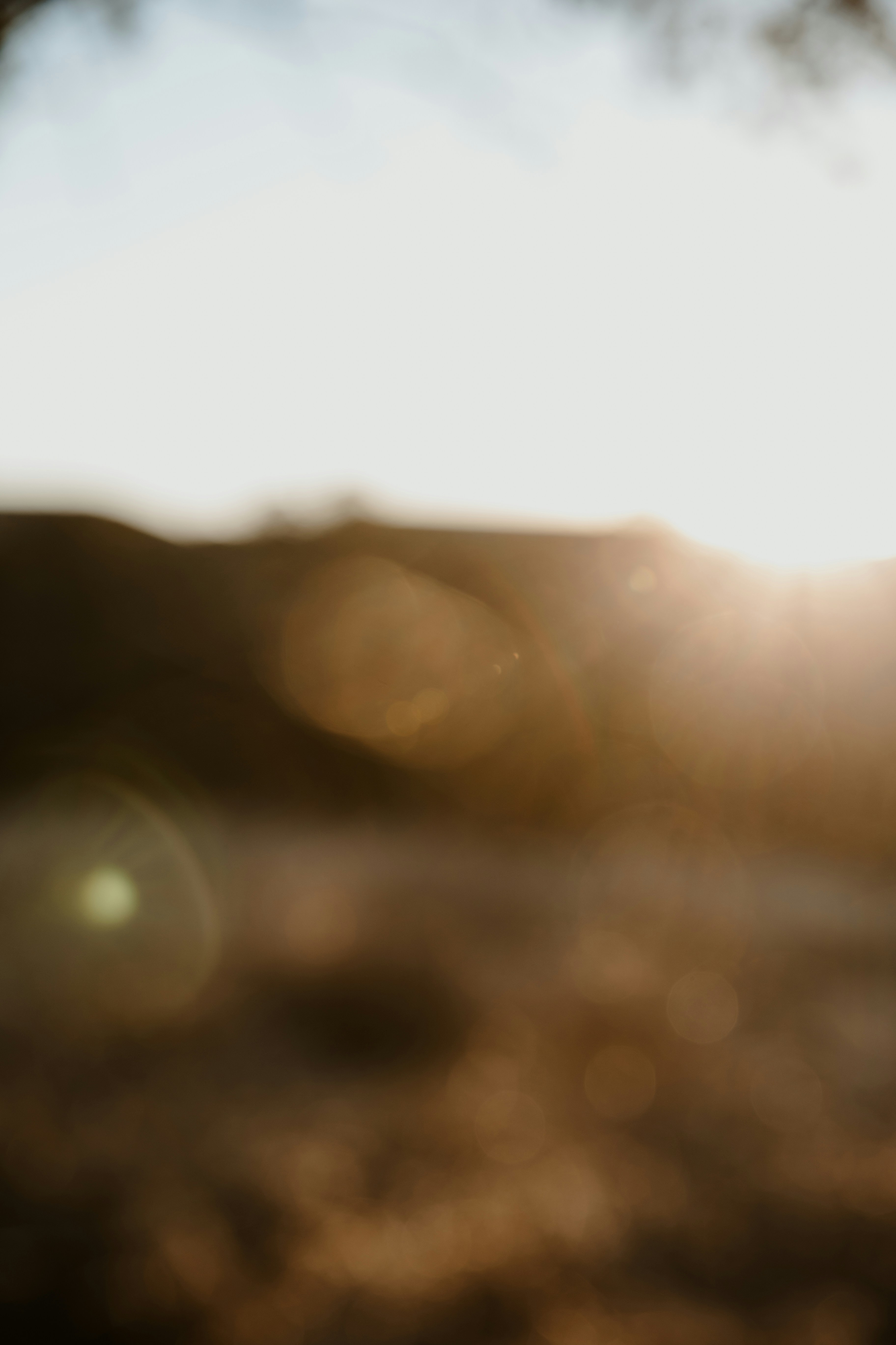 Photo by benignohoyuela