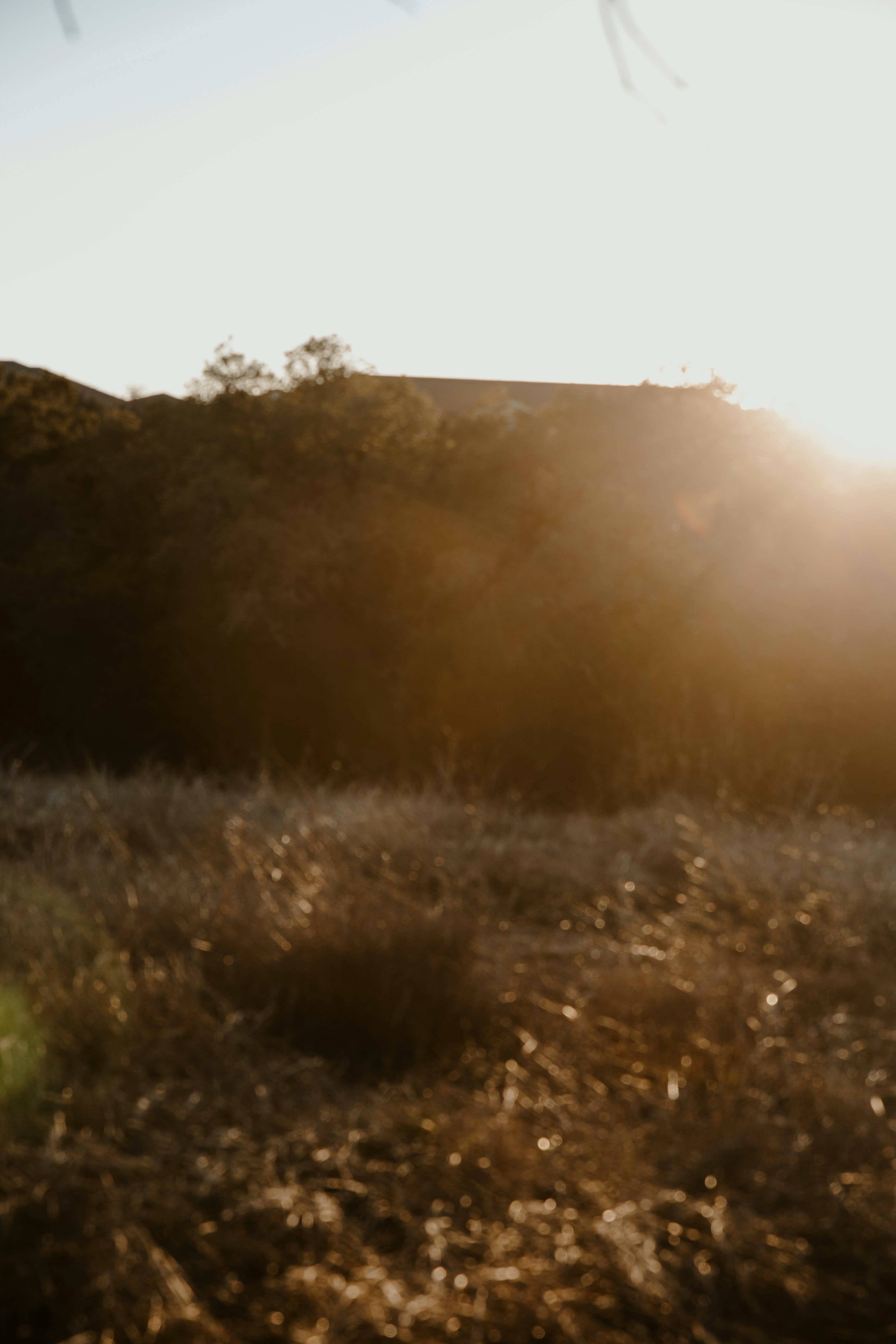 Photo by benignohoyuela