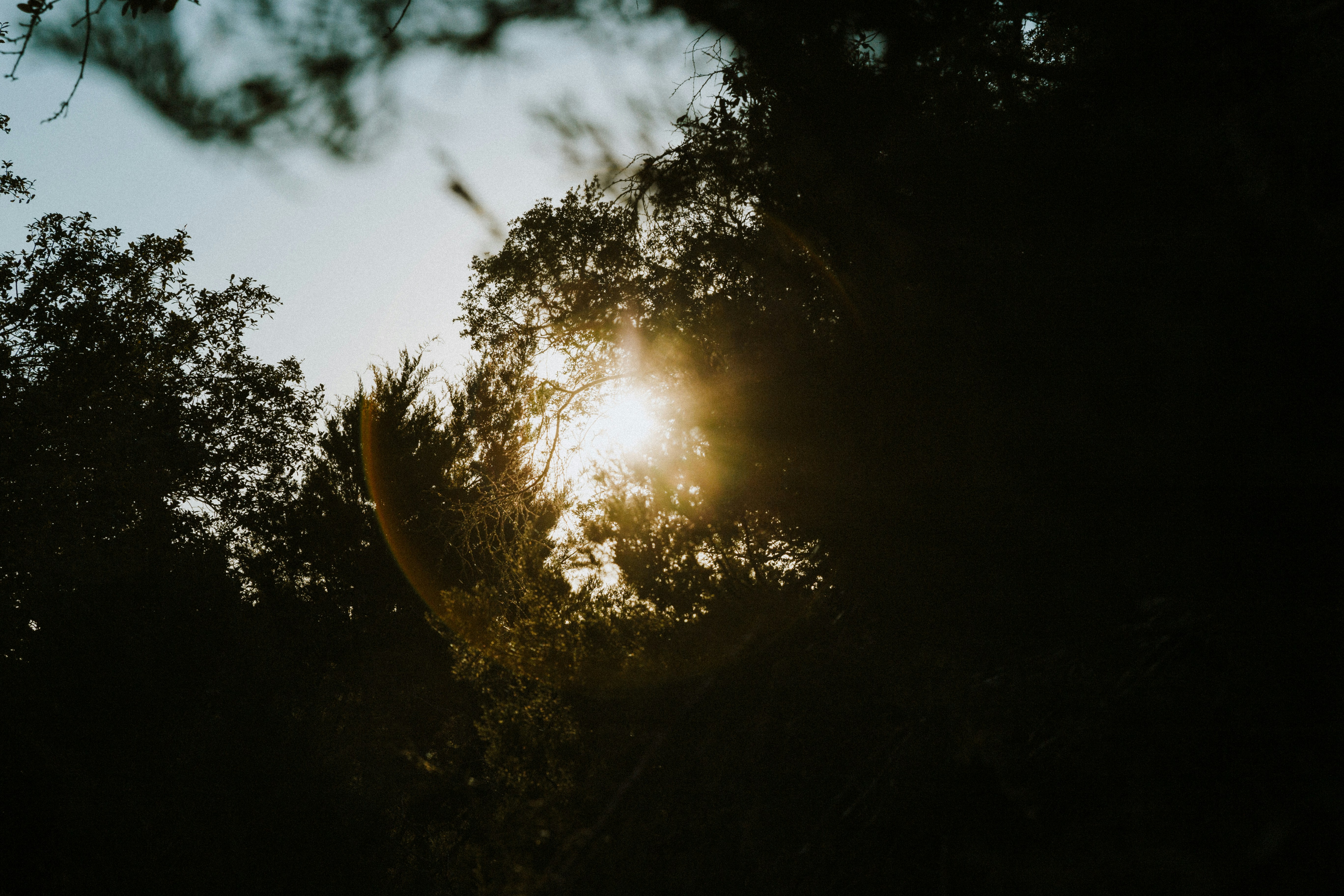 Photo by benignohoyuela