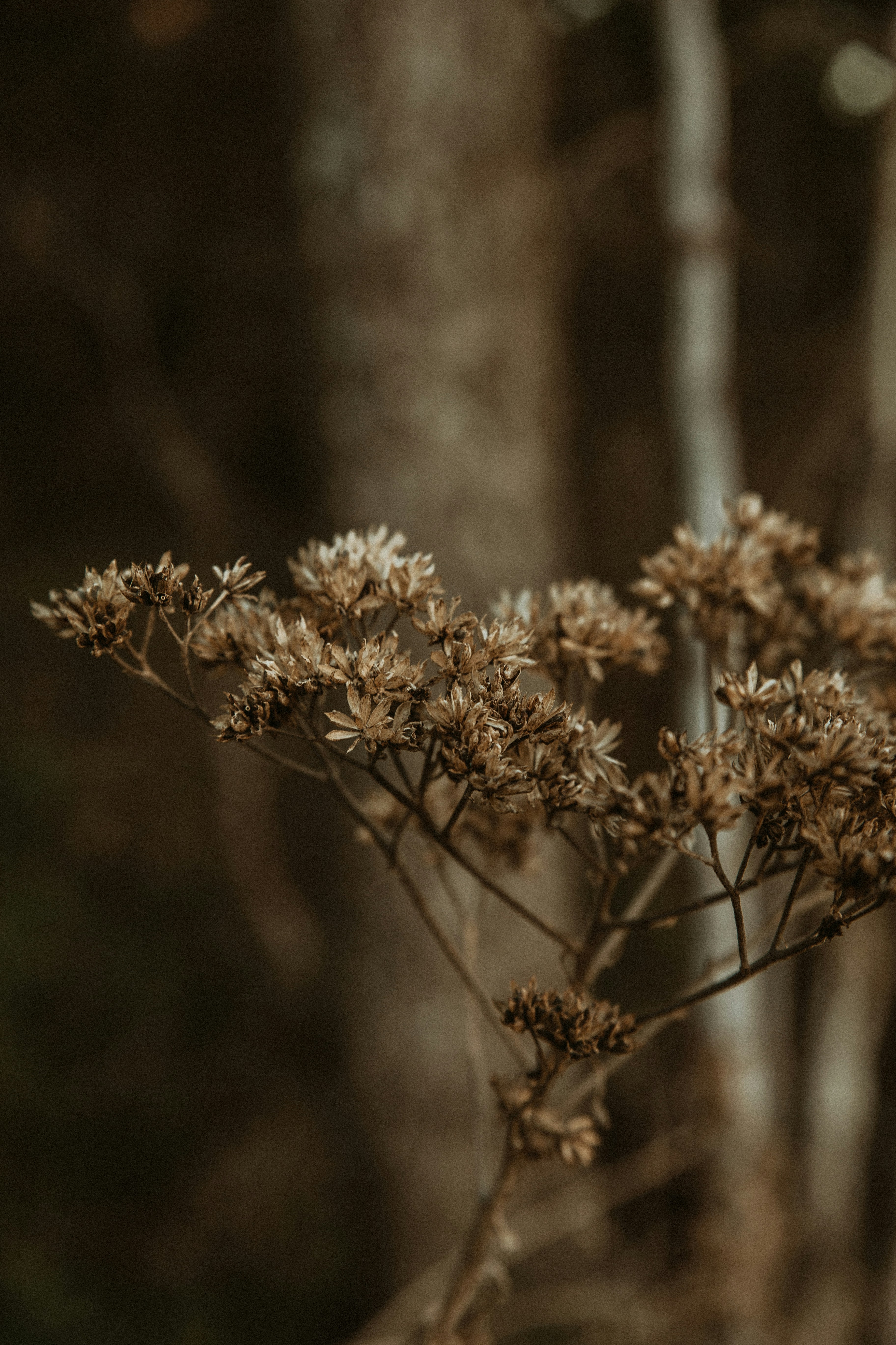 Photo by benignohoyuela