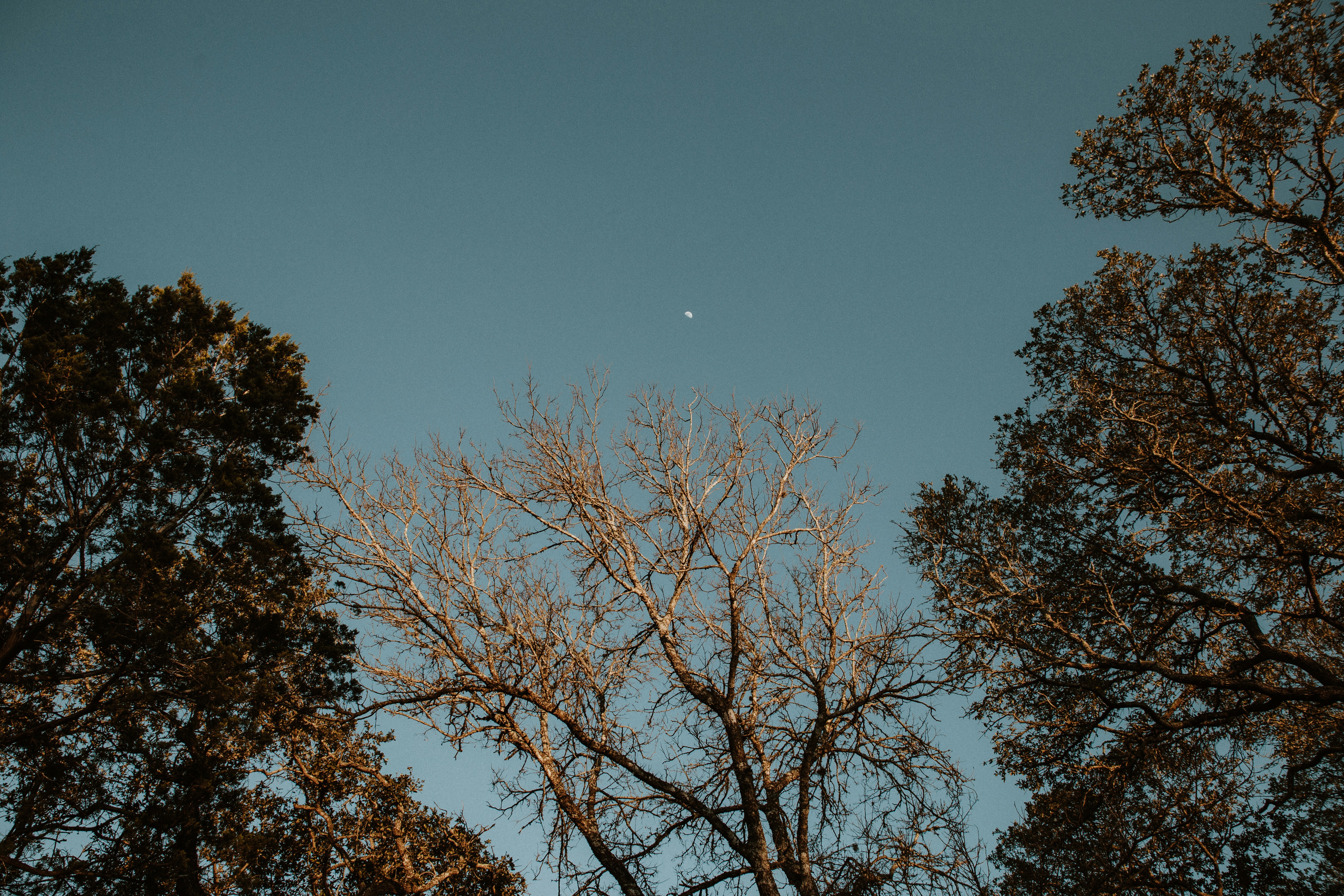 Photo by benignohoyuela