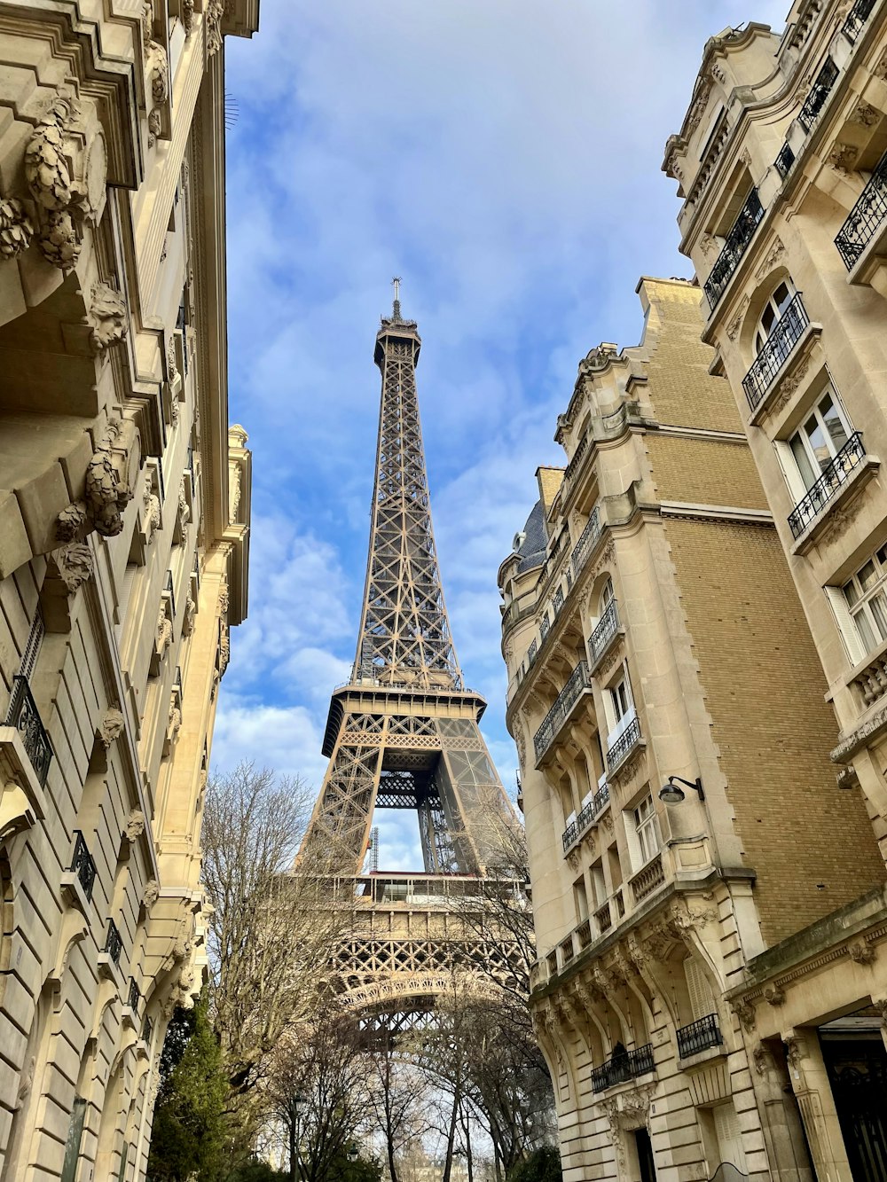 the eiffel tower towering over the city of paris