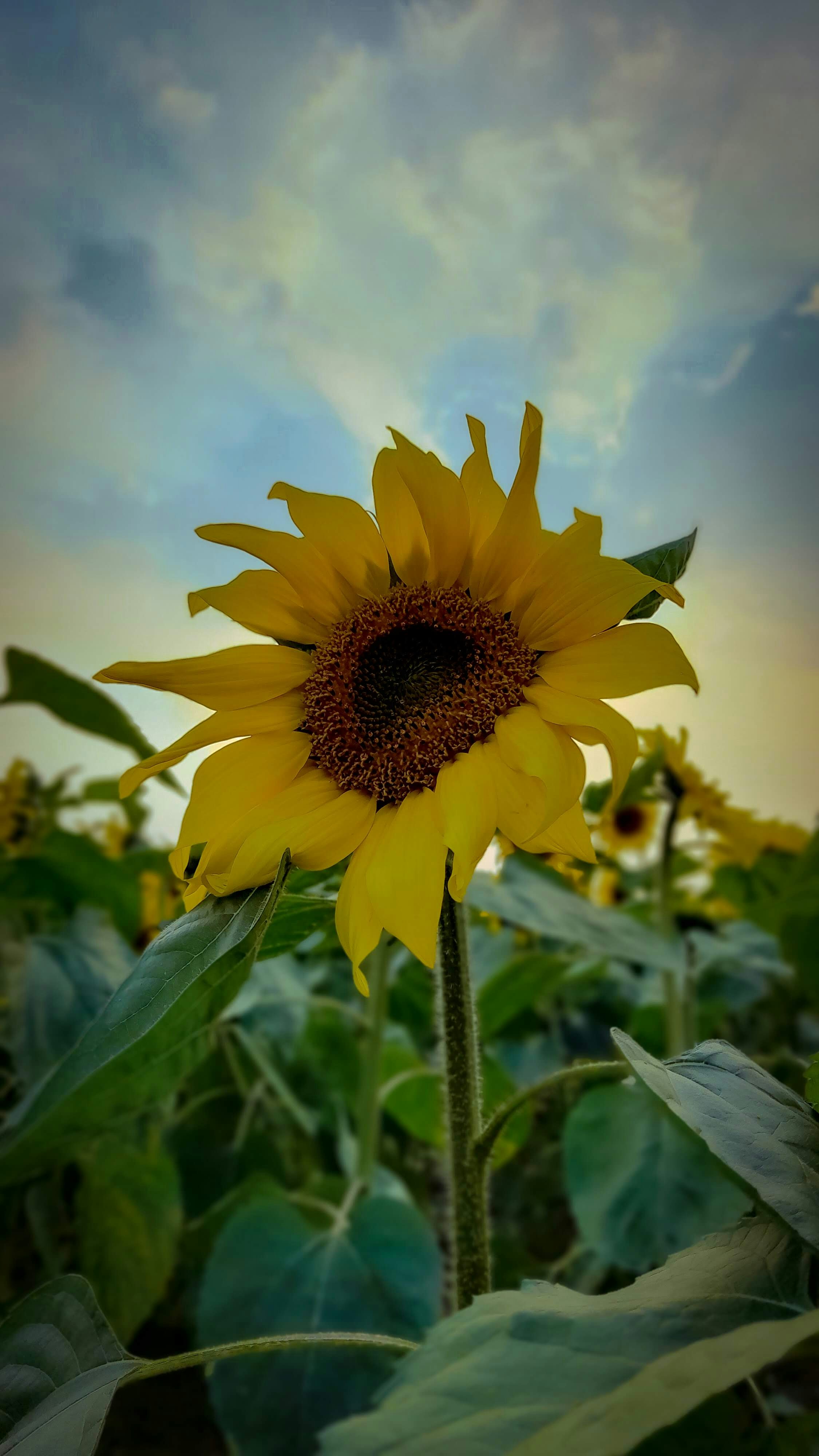 Photo by hasan1212