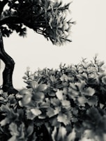 A close-up monochrome image of artificial flowers with a focus on their intricate petals and leaves. The composition is dominated by the textures and shapes of the foliage, with a dark stem running vertically through the frame.