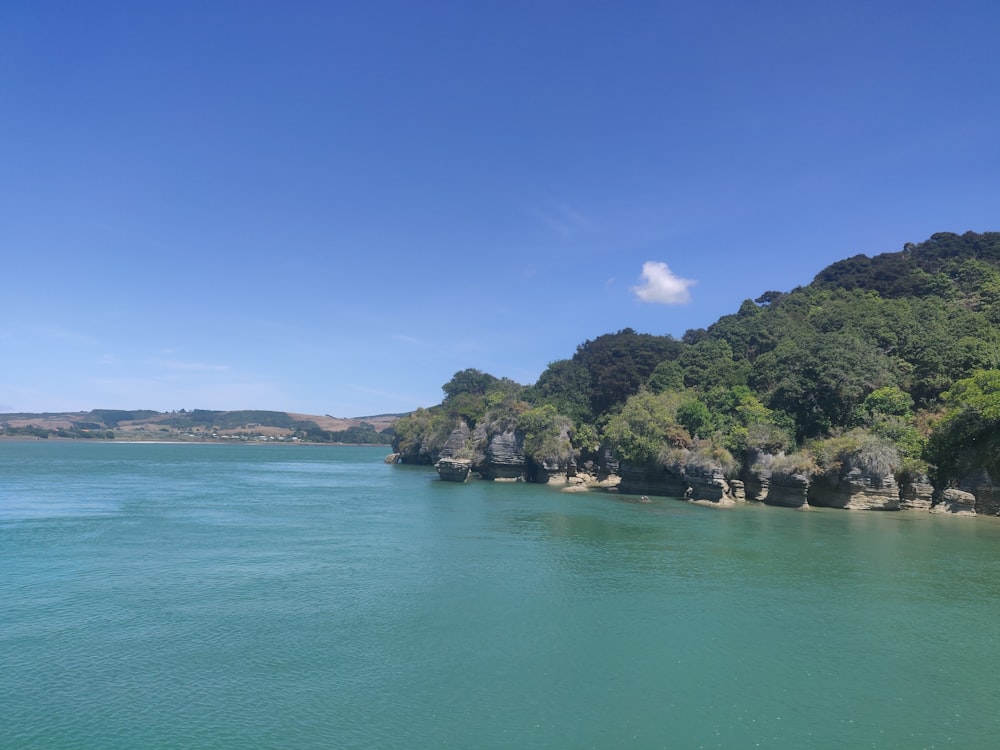 a body of water surrounded by trees and rocks