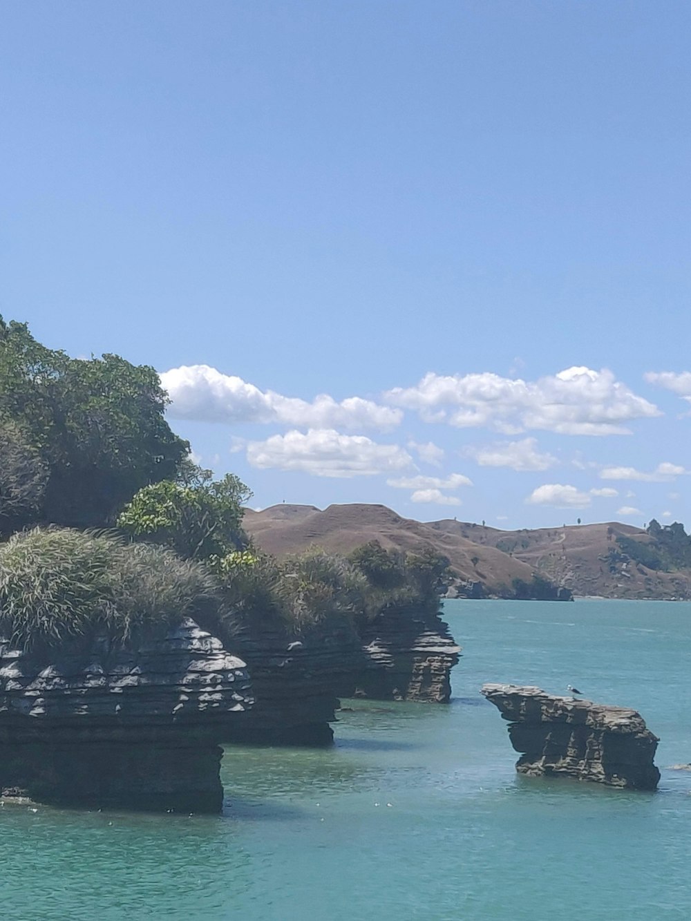 a large body of water surrounded by trees