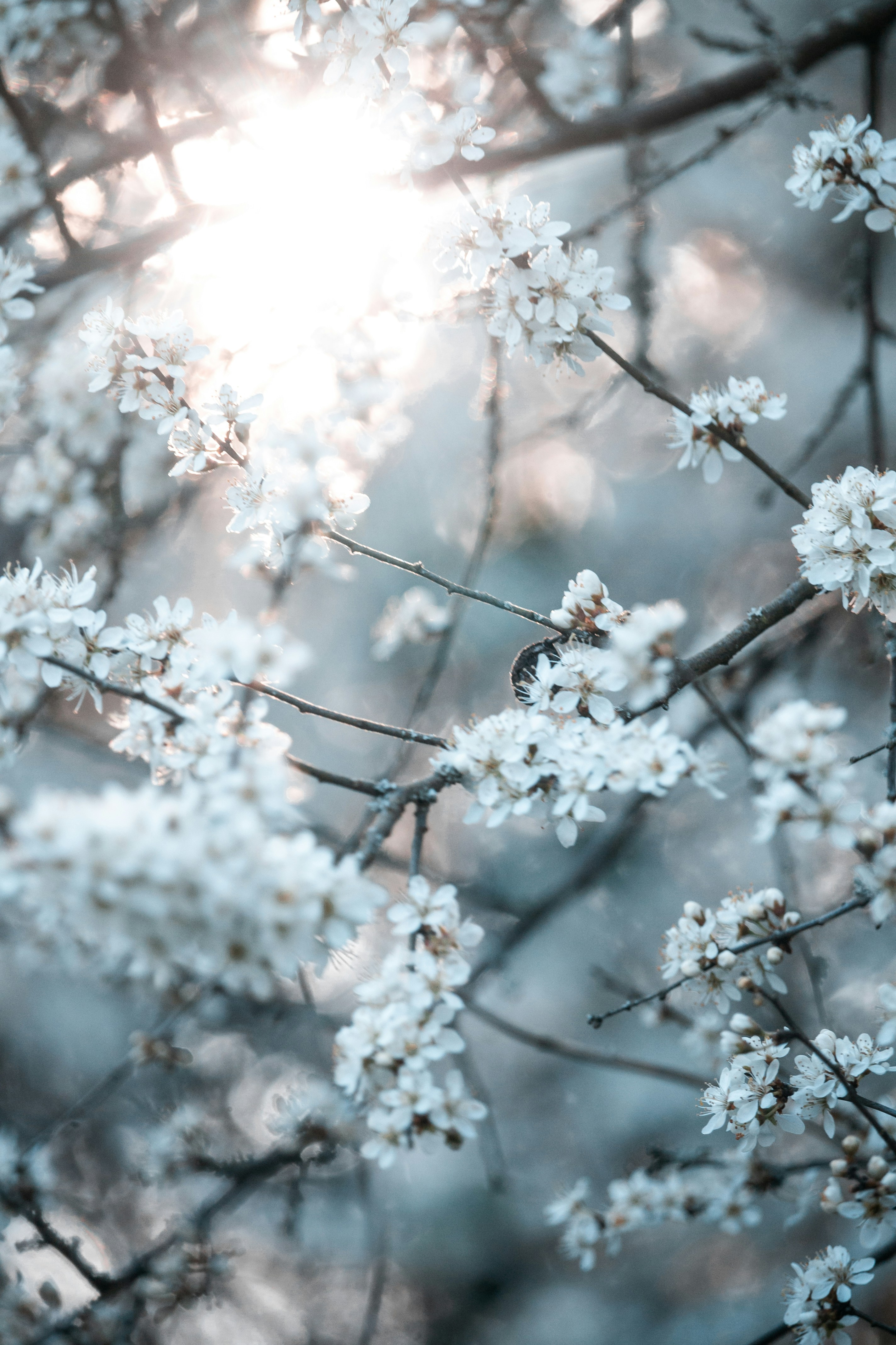 Photo by katharina_bill