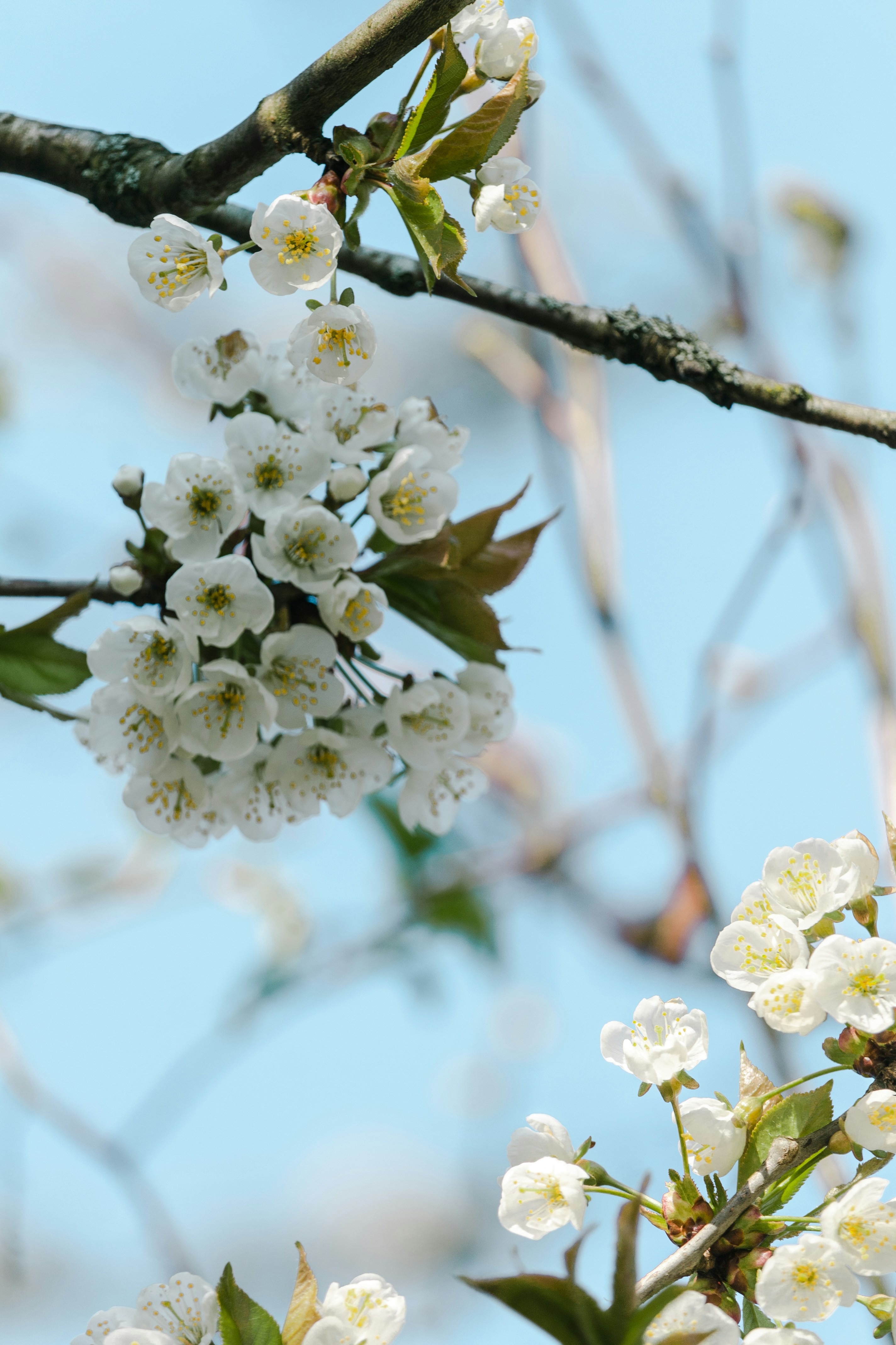 Photo by katharina_bill