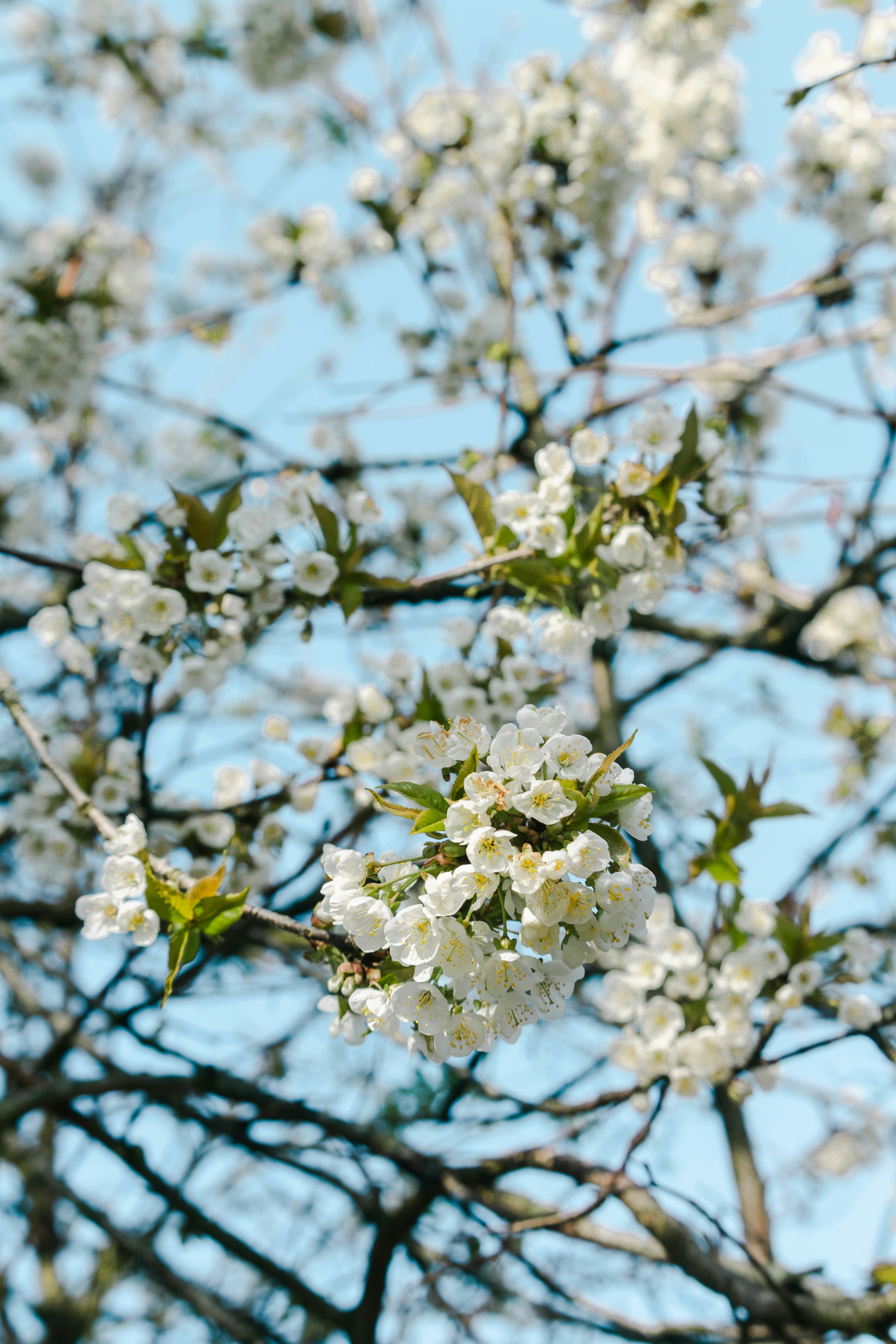 Photo by katharina_bill