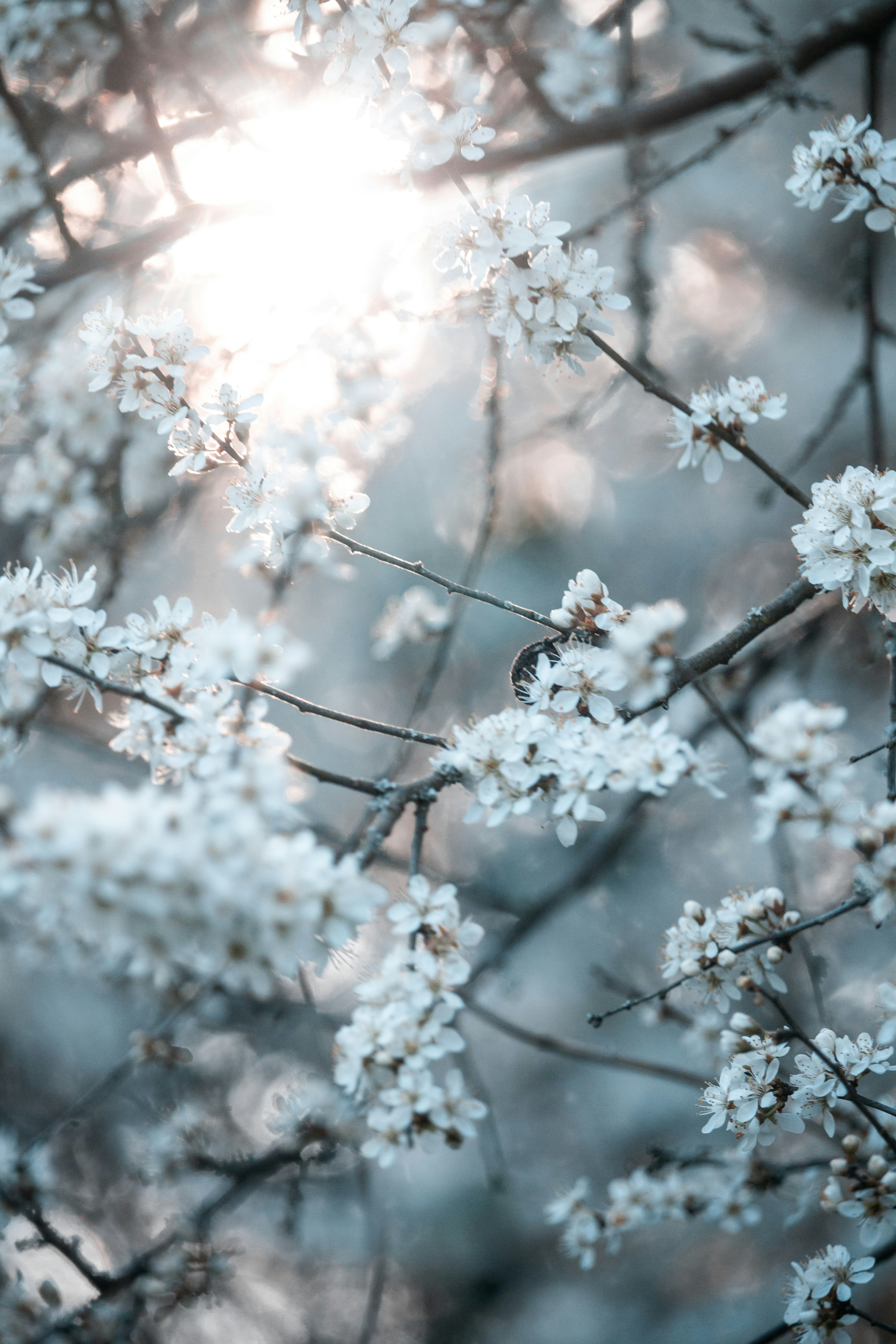 Photo by katharina_bill