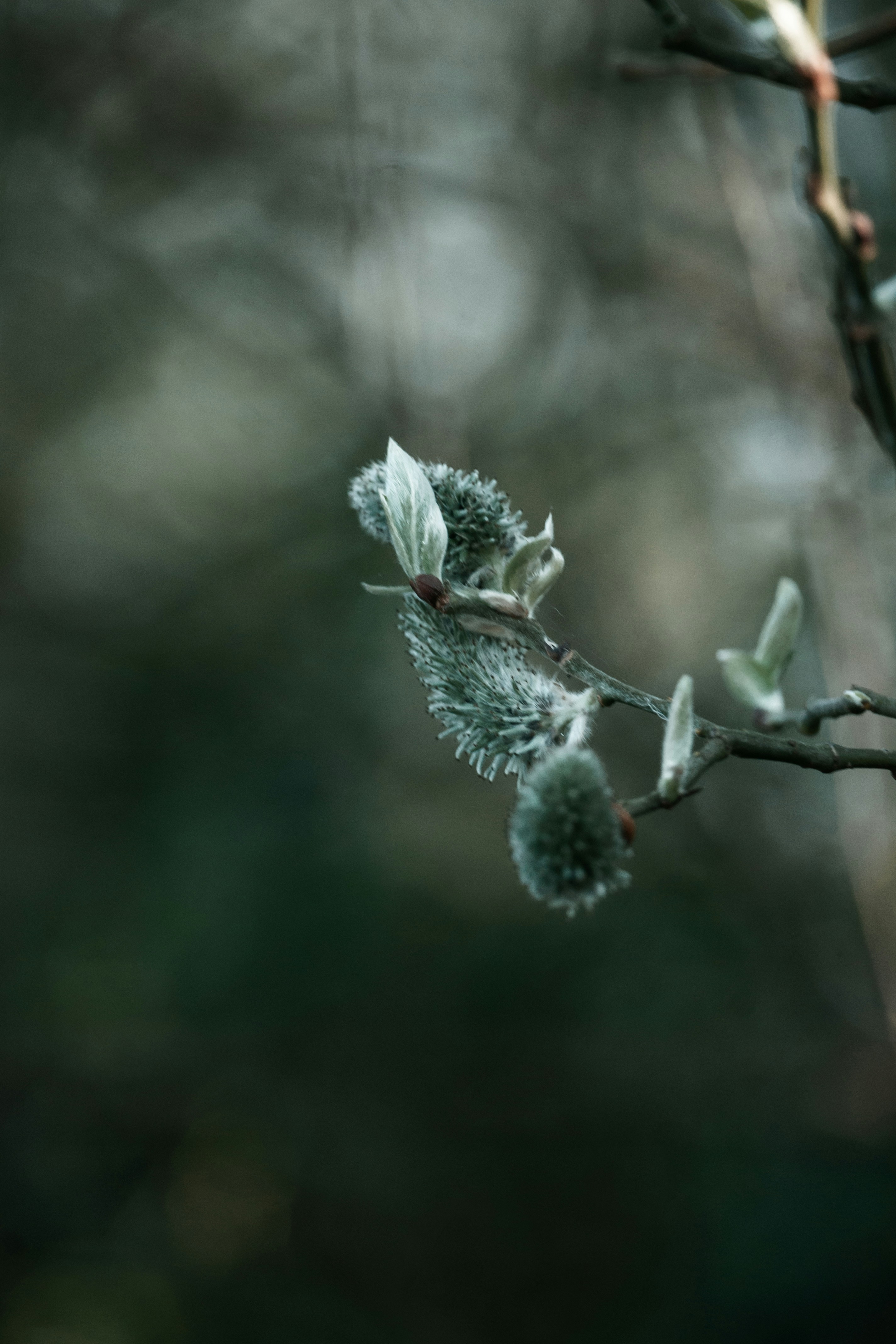 Photo by katharina_bill