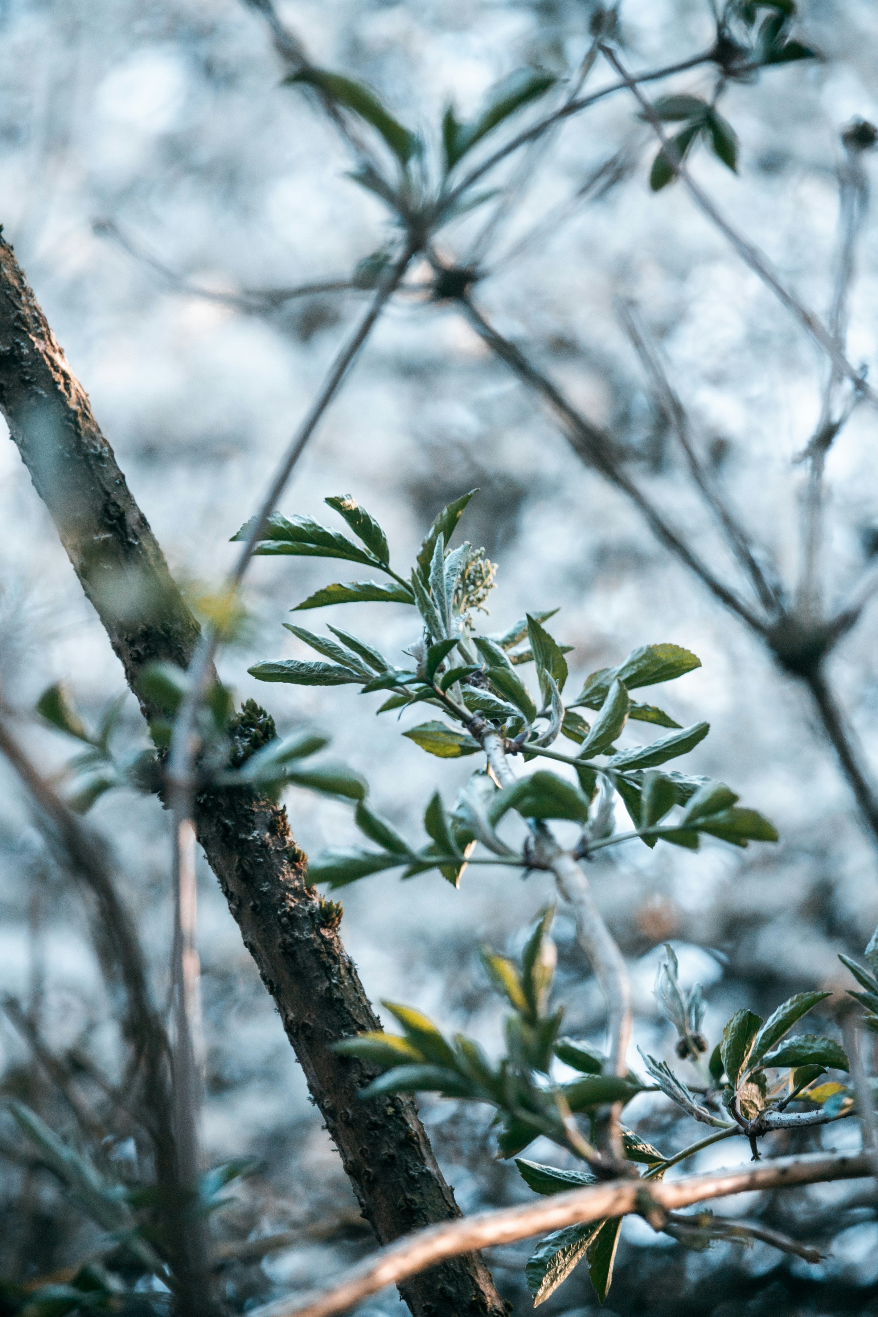 Photo by katharina_bill