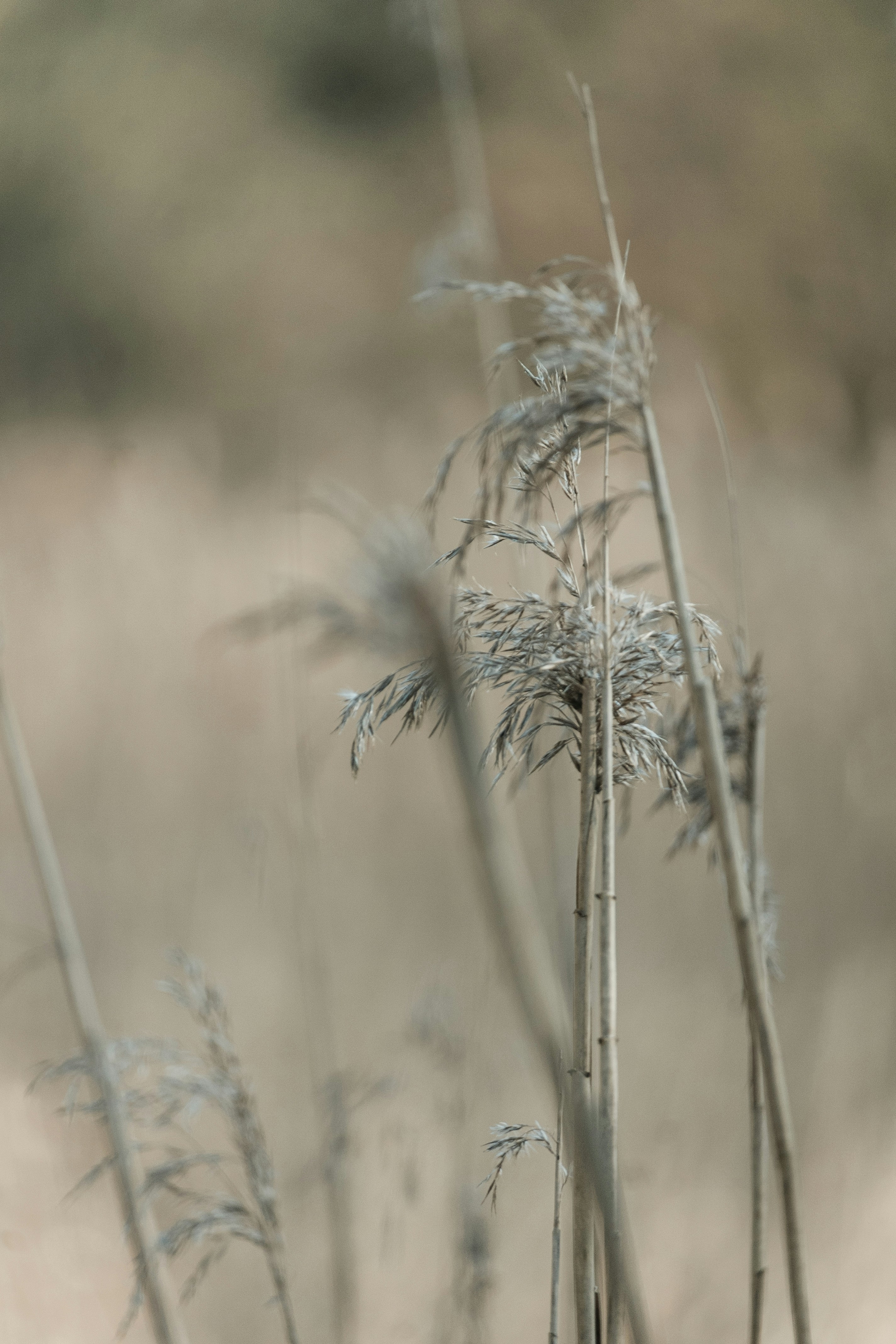 Photo by katharina_bill